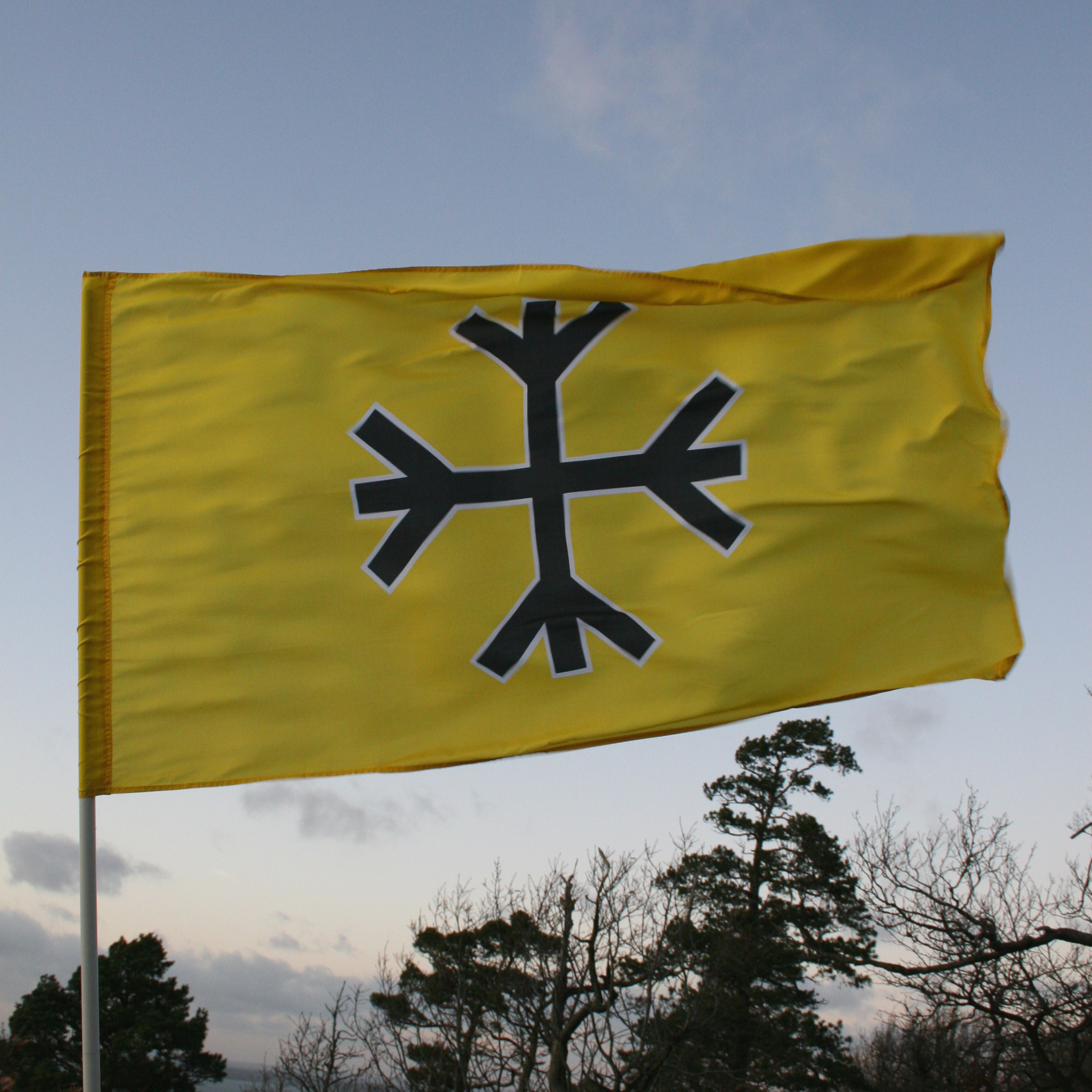 SD-Politiker, Johan Adolfsson, Anders Leander, Sverigedemokraterna, Kriminellt, Nazister, Elin Krantz, Svenskarnas parti, bilder, Sverigedemokrat