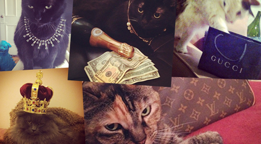  Rich Cats Of Instagram, Rich Kids Of Instagram,  Choupette