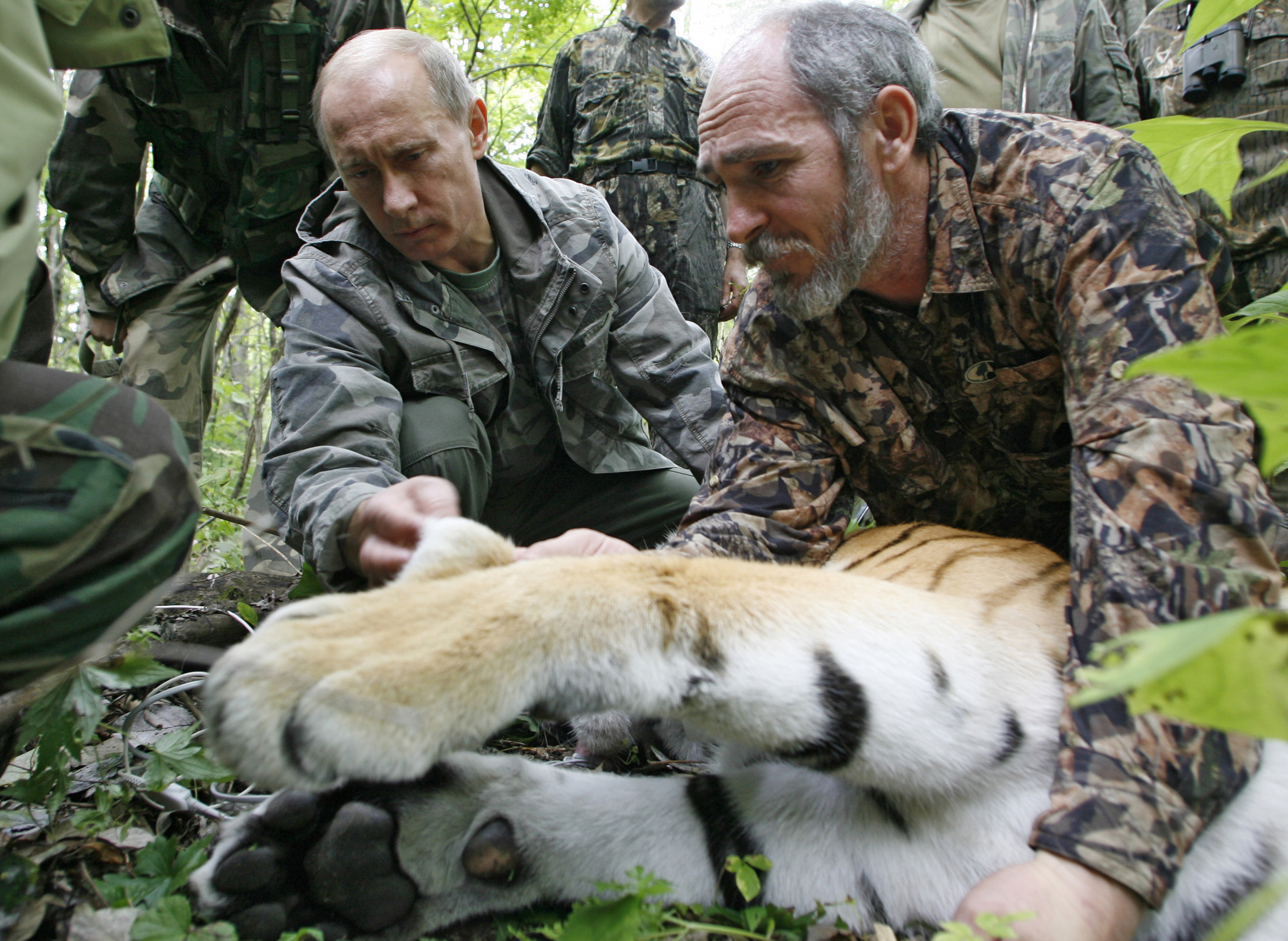 bildextra, Vladimir Putin, Djur, Ryssland