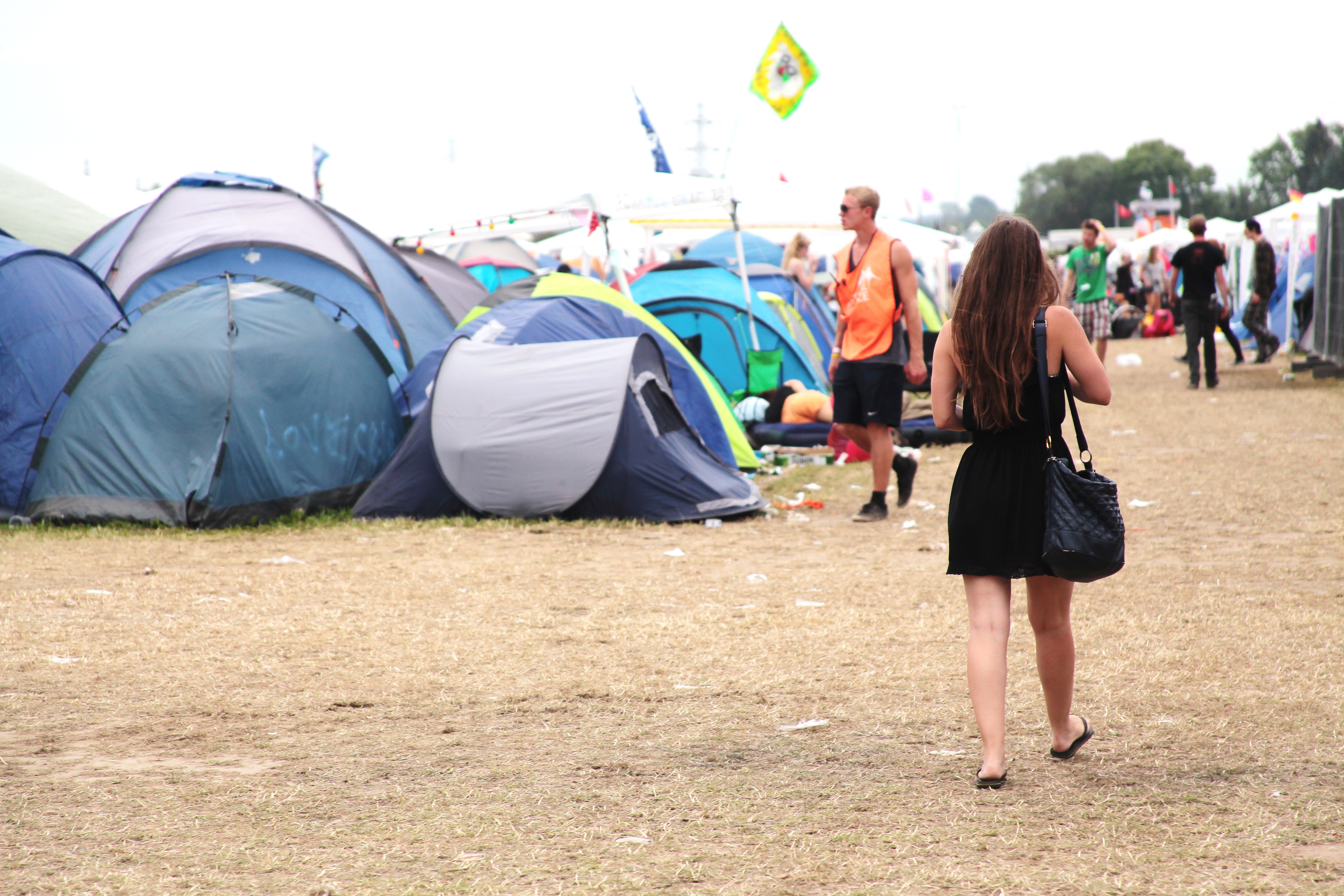 Nyheter, Festival24