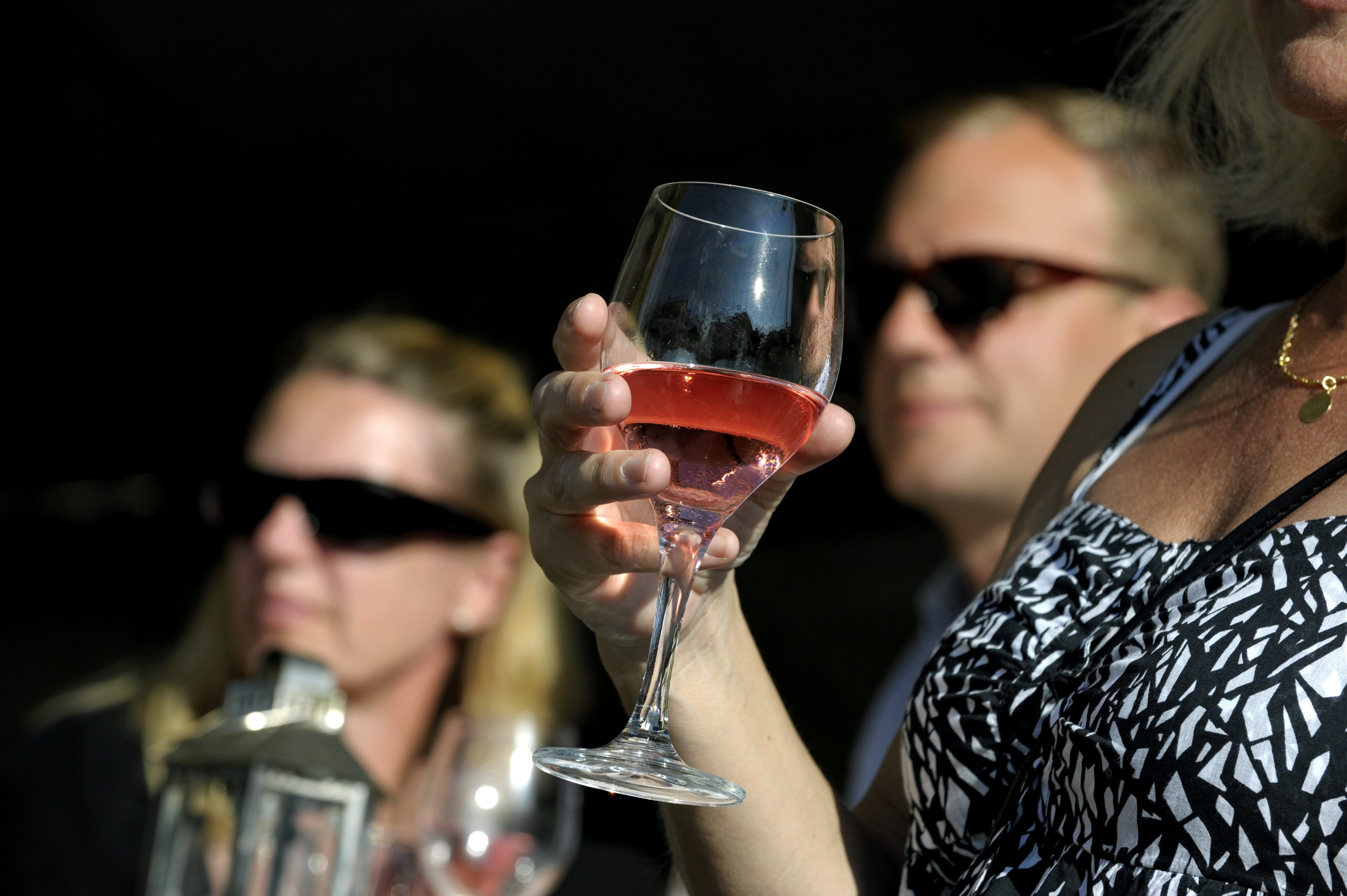 Sverigedemokraterna, Politik, Rödgröna, Almedalsveckan, Alliansen, Almedalen