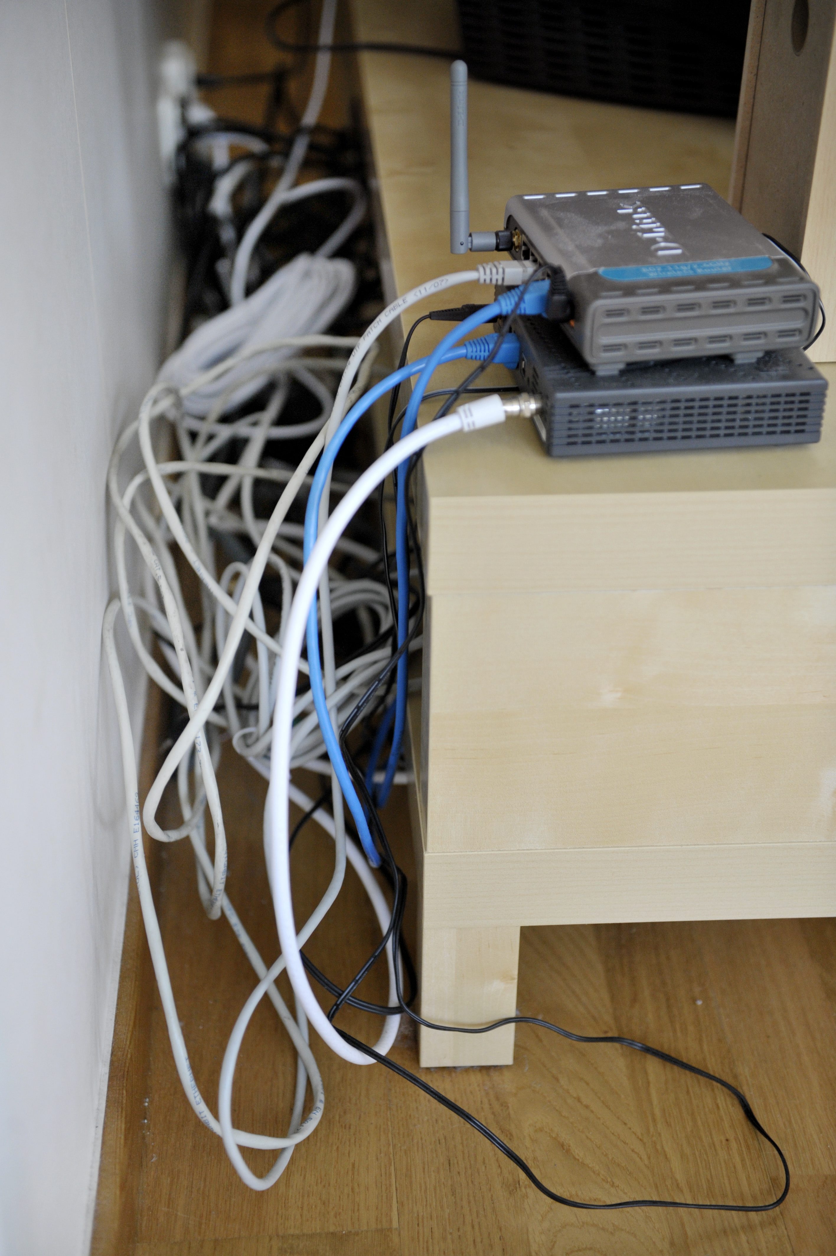 Kopparödla, Internet, Orm