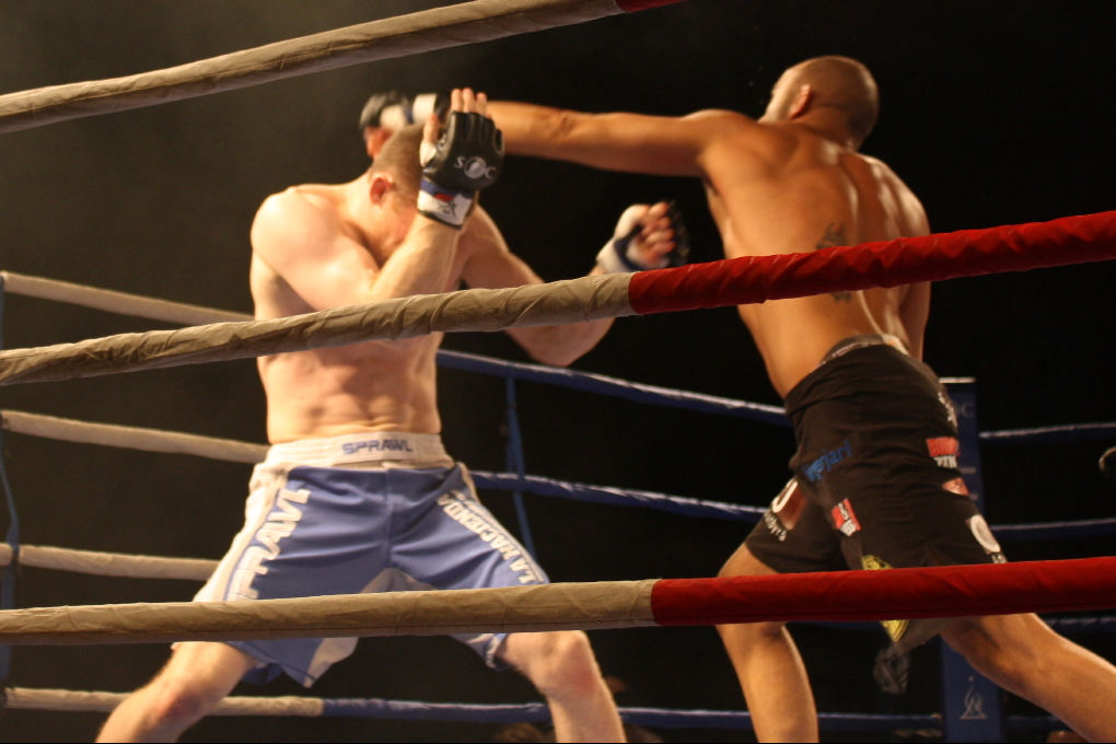 Reza Madadi, Hanna Sillen, Fryshuset, Superior Challenge, Junie Browning, Pride and Fury