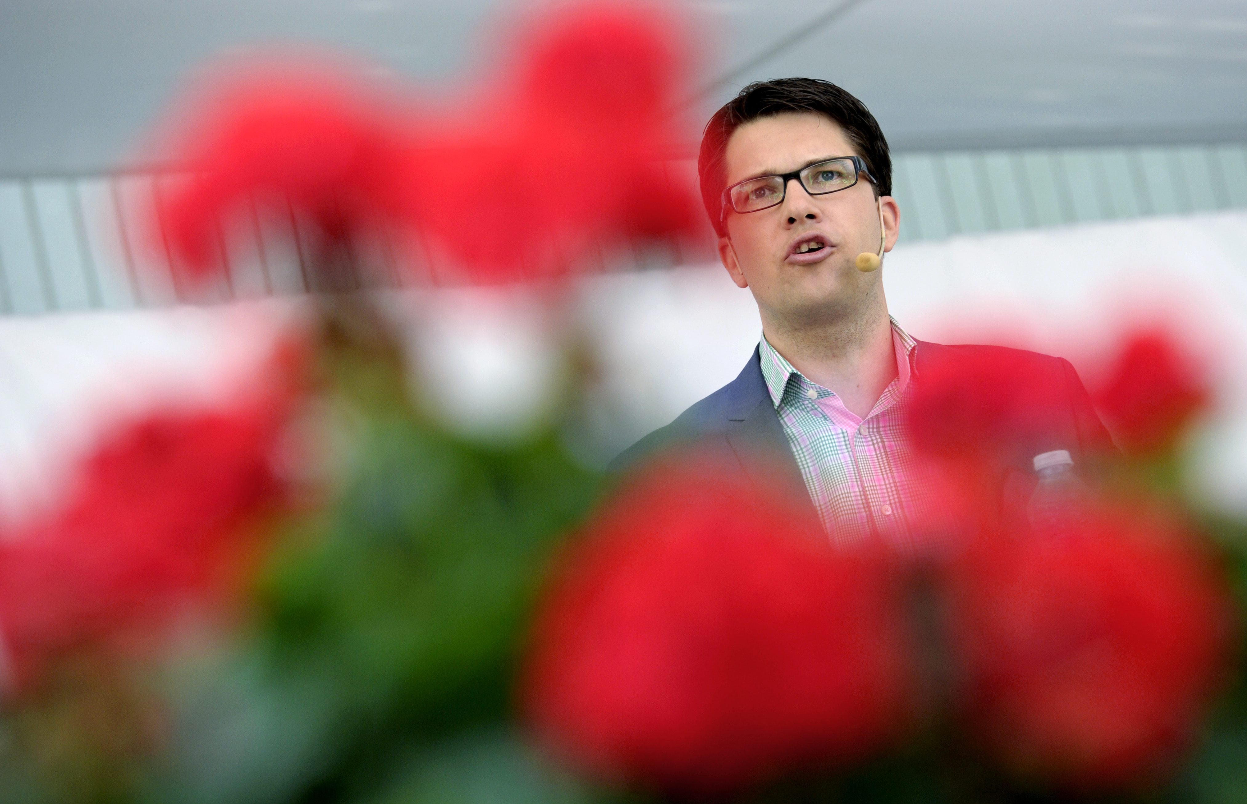Almedalen, Alliansen, Rödgröna, Sverigedemokraterna, Almedalsveckan, Politik