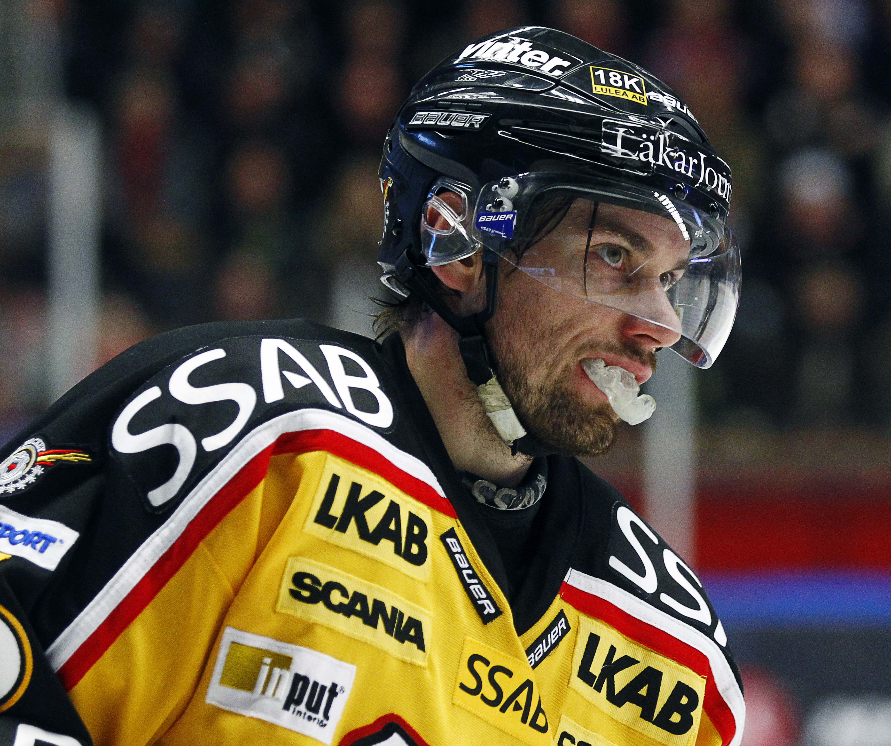 Lulea, Linus Klasen,  Nyheter24 tippar elitserien