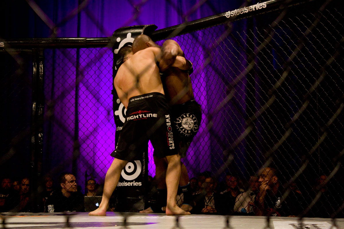 Elina Nilsson, MMA, Paul Reed, Goteborg, Victor Cheng, Martin Svensson, Hanna Sillén, The Zone FC 9, Eddy Bengtsson, Besam Yousef, Lisebergshallen