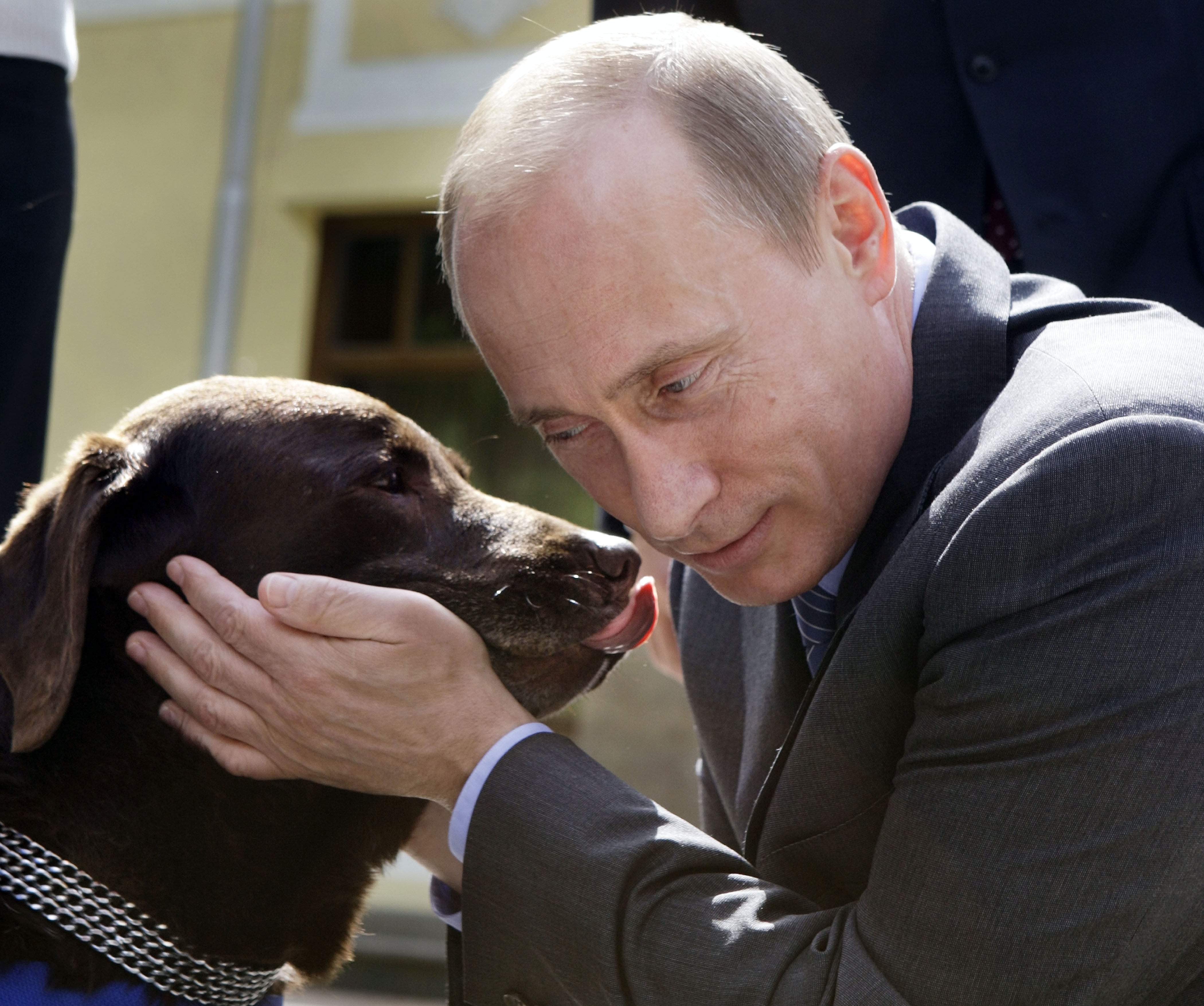 bildextra, Ryssland, Vladimir Putin, Djur