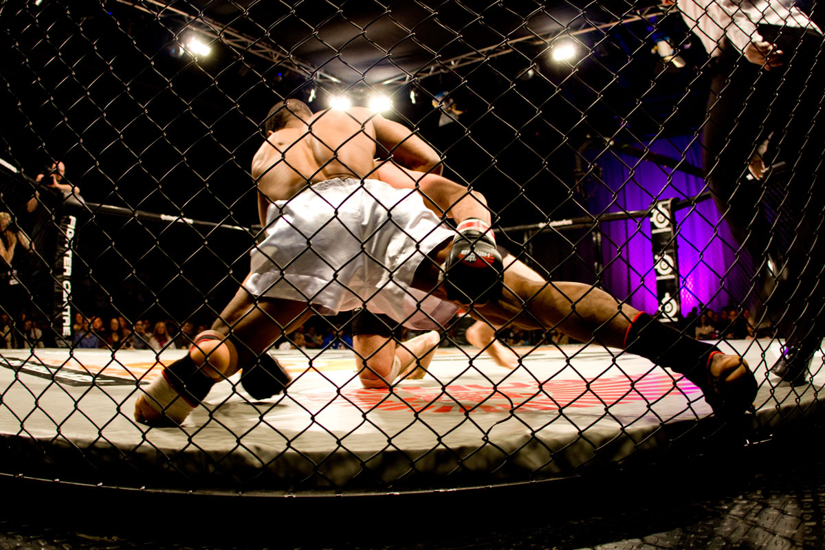 MMA, Victor Cheng, Hanna Sillén, Besam Yousef, Goteborg, Paul Reed, The Zone FC 9, Lisebergshallen, Eddy Bengtsson, Elina Nilsson, Martin Svensson