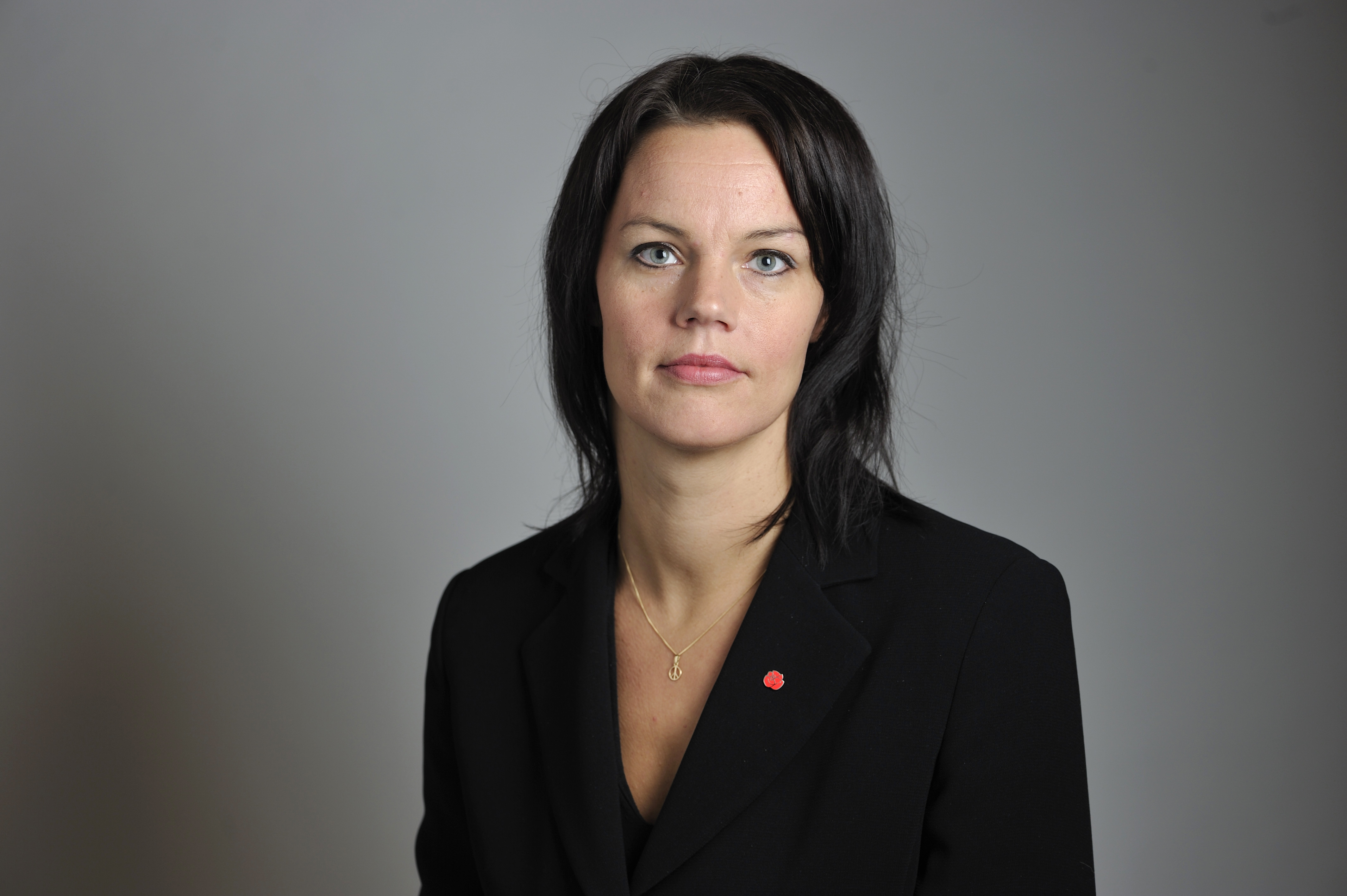 Twitter,  Ankdamm, Fredrick Federley, Caroline Szyber, Veronica Palm, lars ohly, Riksdagen