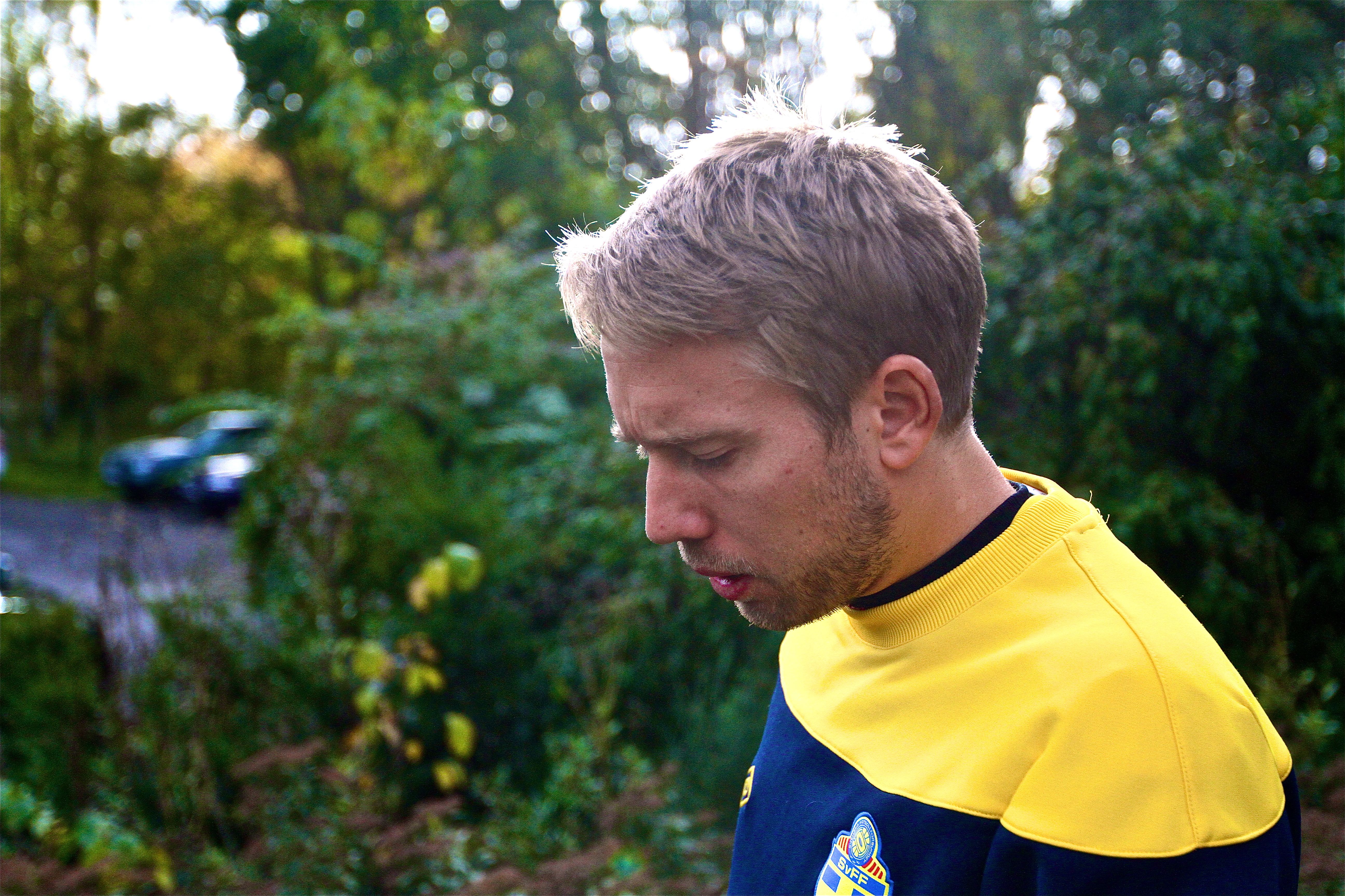 Adam Johansson, Fredrik Ljungberg, Landslaget