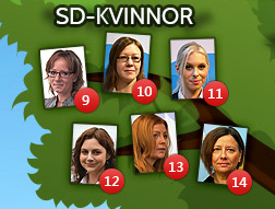 Mikael Jansson, Björn Söder, SDU, Mattias Karlsson, Sverigedemokraterna, Politik, Gustav Kasselstrand, Alex Bengtsson, Riksdagen, Richard Jomshof, Kent Ekeroth, Erik Almqvist, SD, Jimmie Åkesson