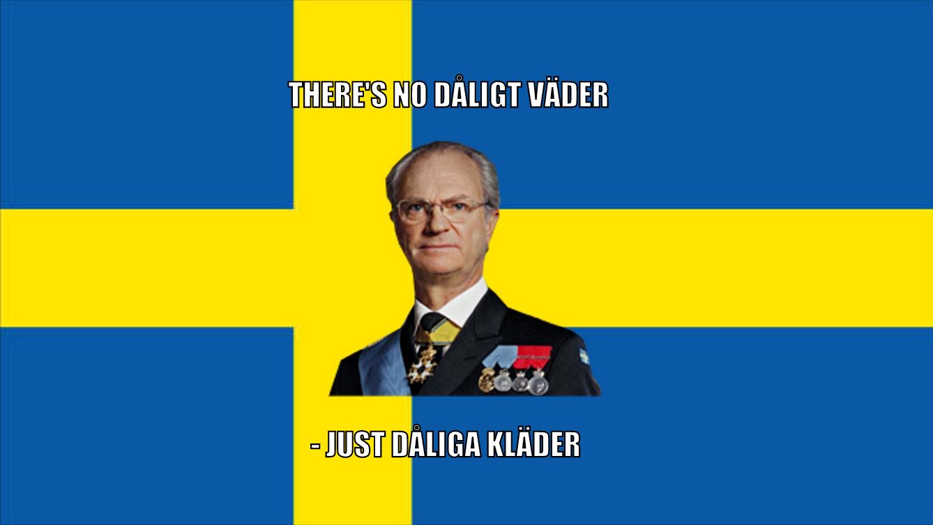 Auktion, chris hasselgren, 100 000, the typical svensken, Facebook