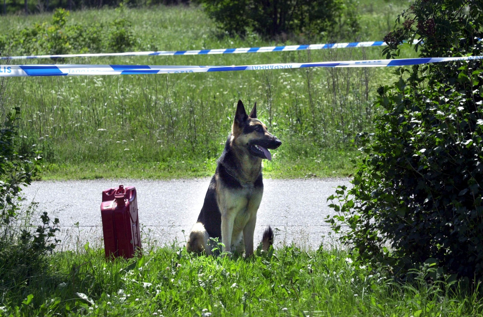 Ronneby, Flicka, helikopter, Polis, Barn, Myndigheter, Efterlyst, Flickan, 12-åring, Försvunnen
