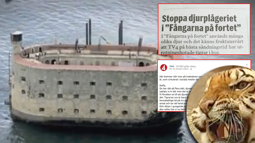 TV4, Spridning, Tioåring, Stella, Sociala Medier, Fångarna På Fortet,  Insändare