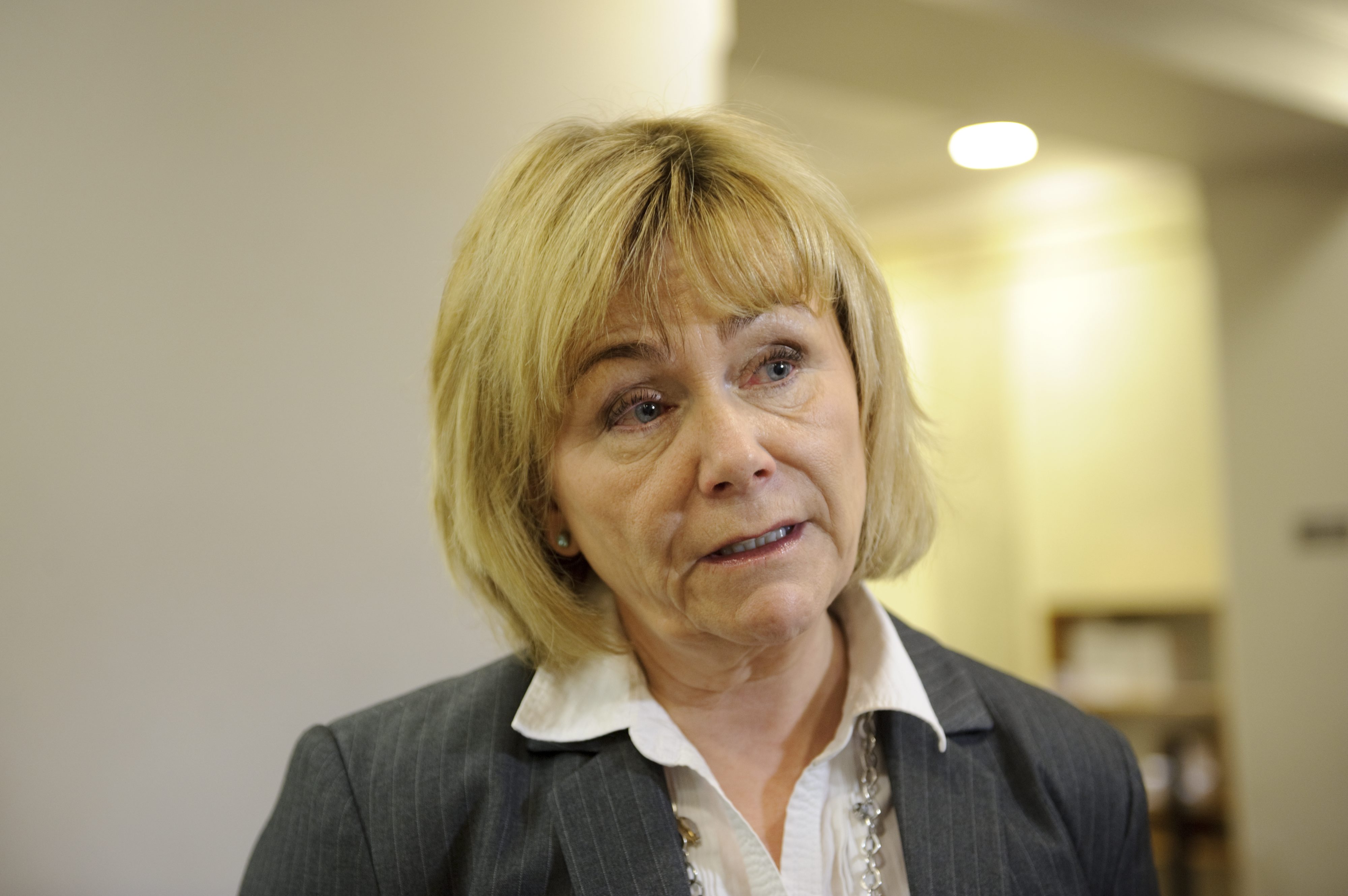 Hanna Wagenius, Anna Troberg, Piratpartiet, Säpo, Erik Bengtzboe, Rikskriminalpolisen, Signalspaning, Mathias Sundin, FRA-lagen