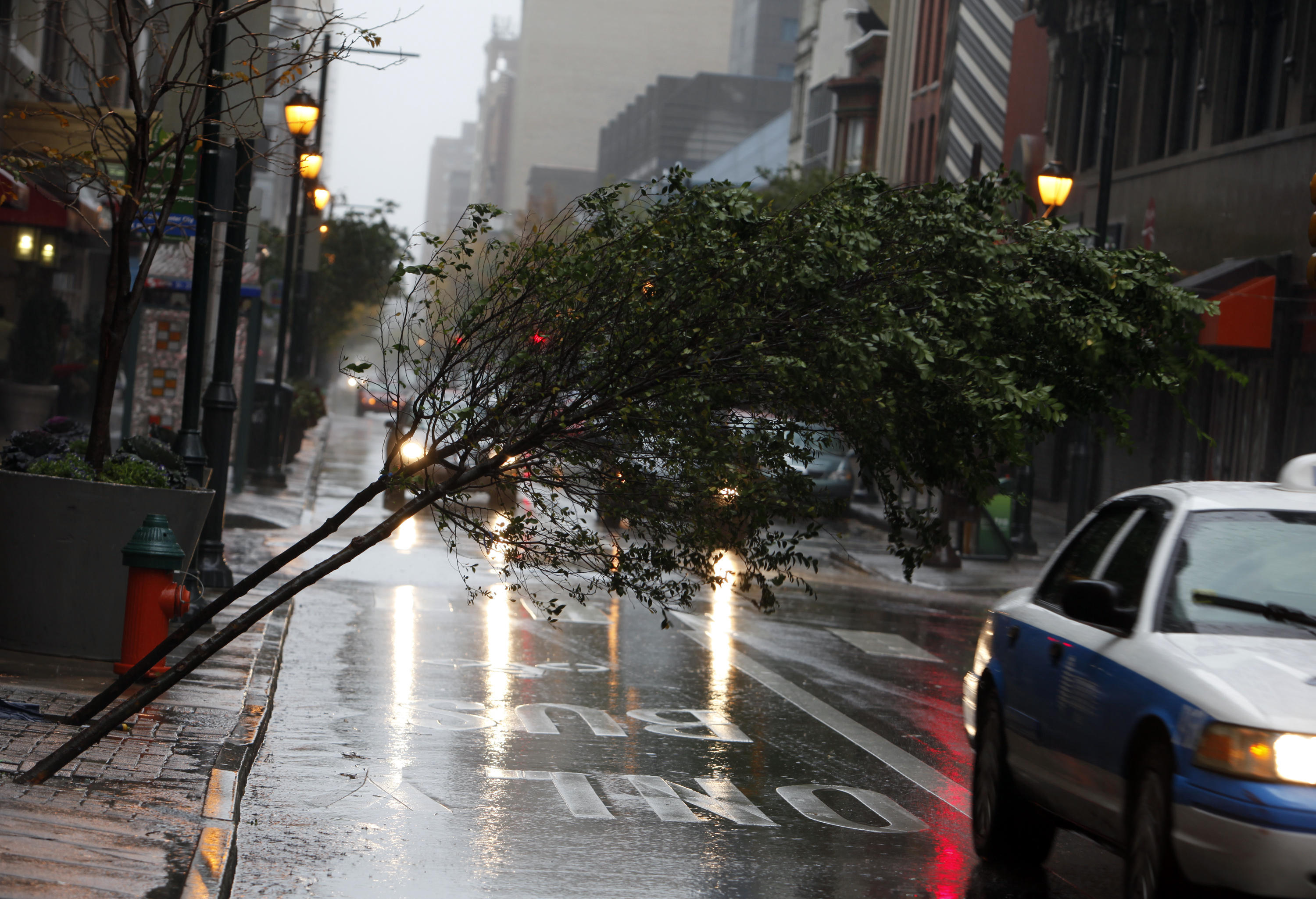 Orkan, USA, Storm, New York, sandy