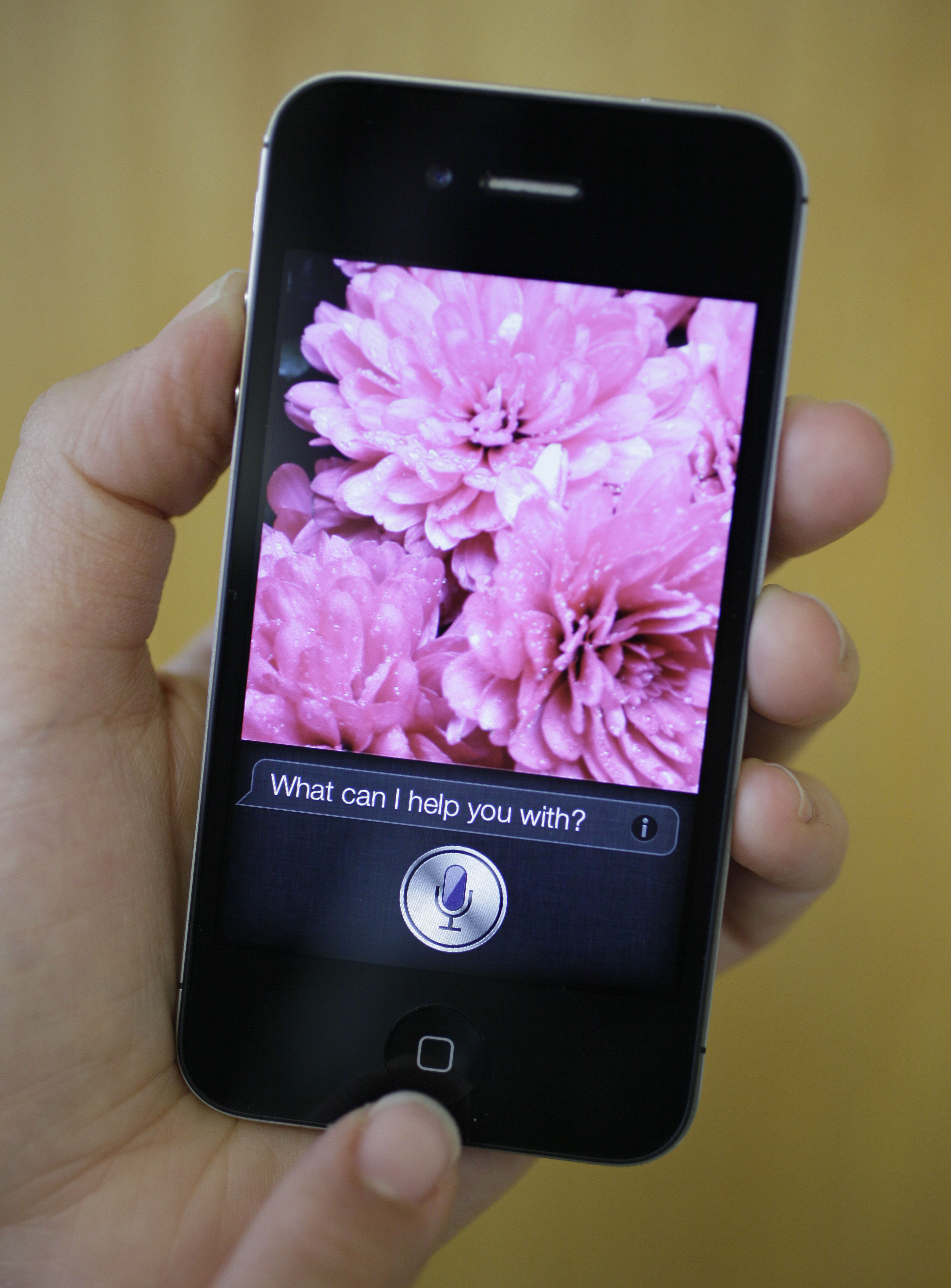 USA, Dator-röst, Siri, Teknik, Internet, Apple, Iphone, Abort