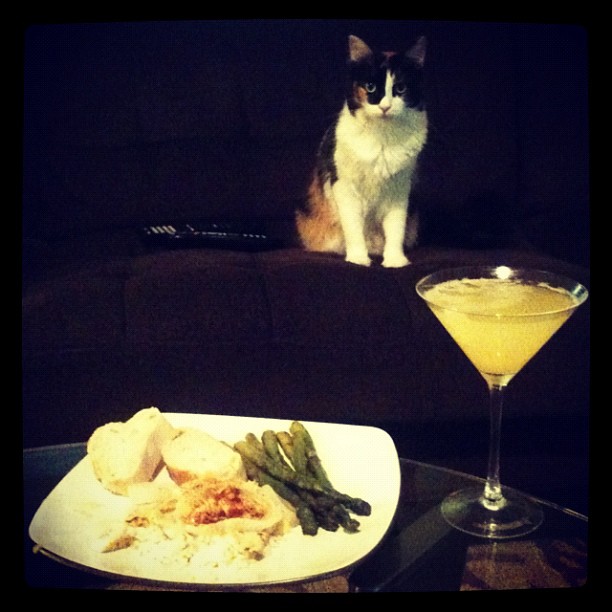  Choupette,  Rich Cats Of Instagram, Rich Kids Of Instagram