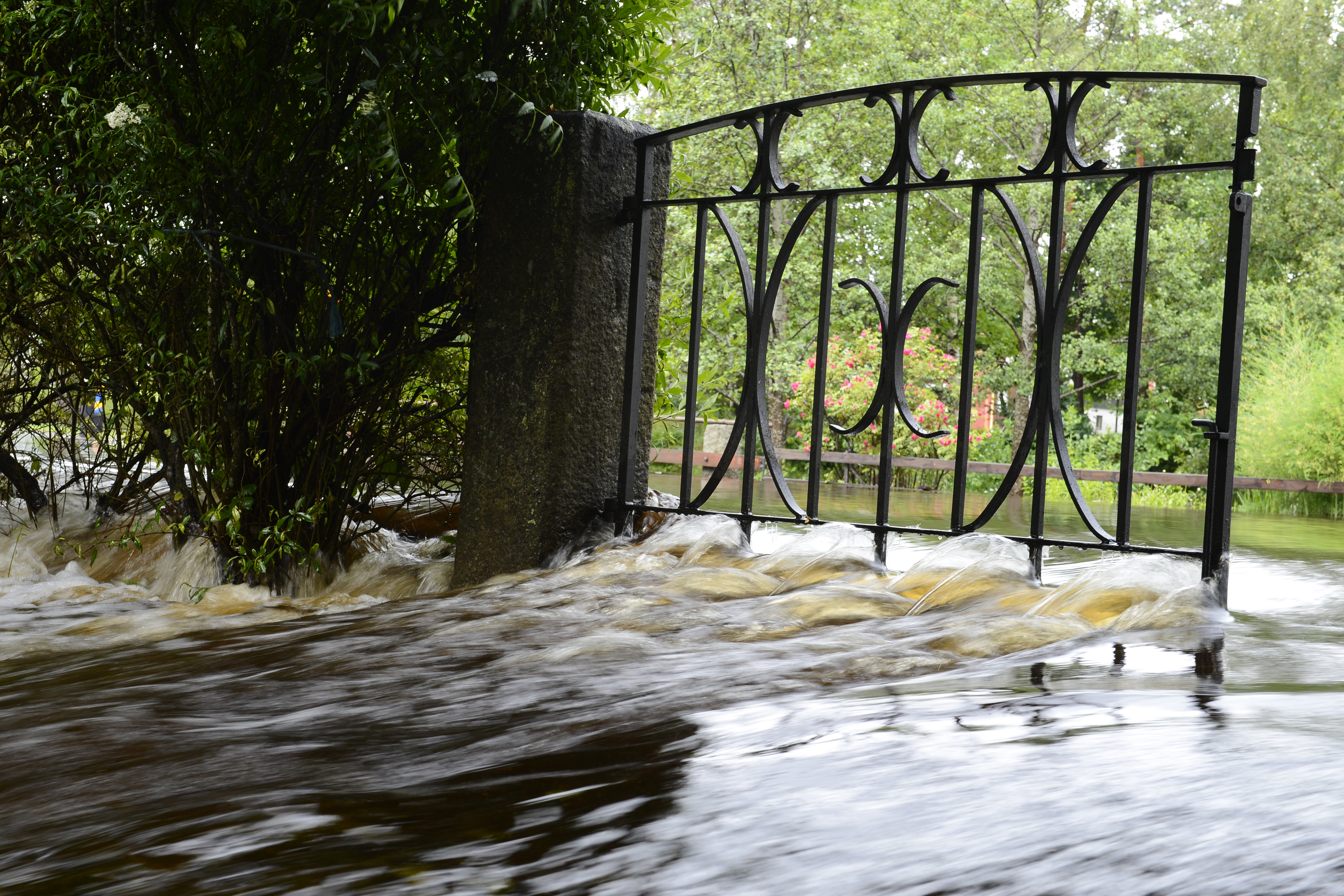 Översvämning, Småland, bildextra, regn