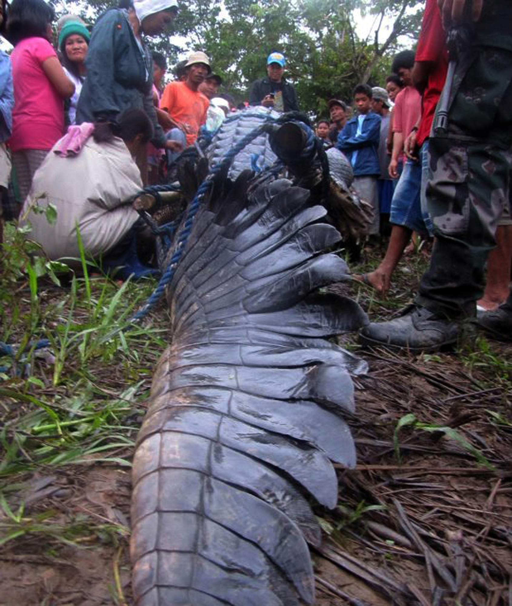 Guinness World Records, Död, Krokodil, världens största