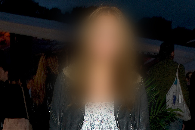 Pengar, Kissie, Inkomst, Paulina Danielsson, Dessie, Blogg, Kenza, Desire Nilsson, Isabella Löwengrip, Bloggerskor, Hugo Rosas, Paow, Alexandra Nilsson, Bloggerska, Tjänar, Blondinbella, Bloggare, Kenza Zouiten