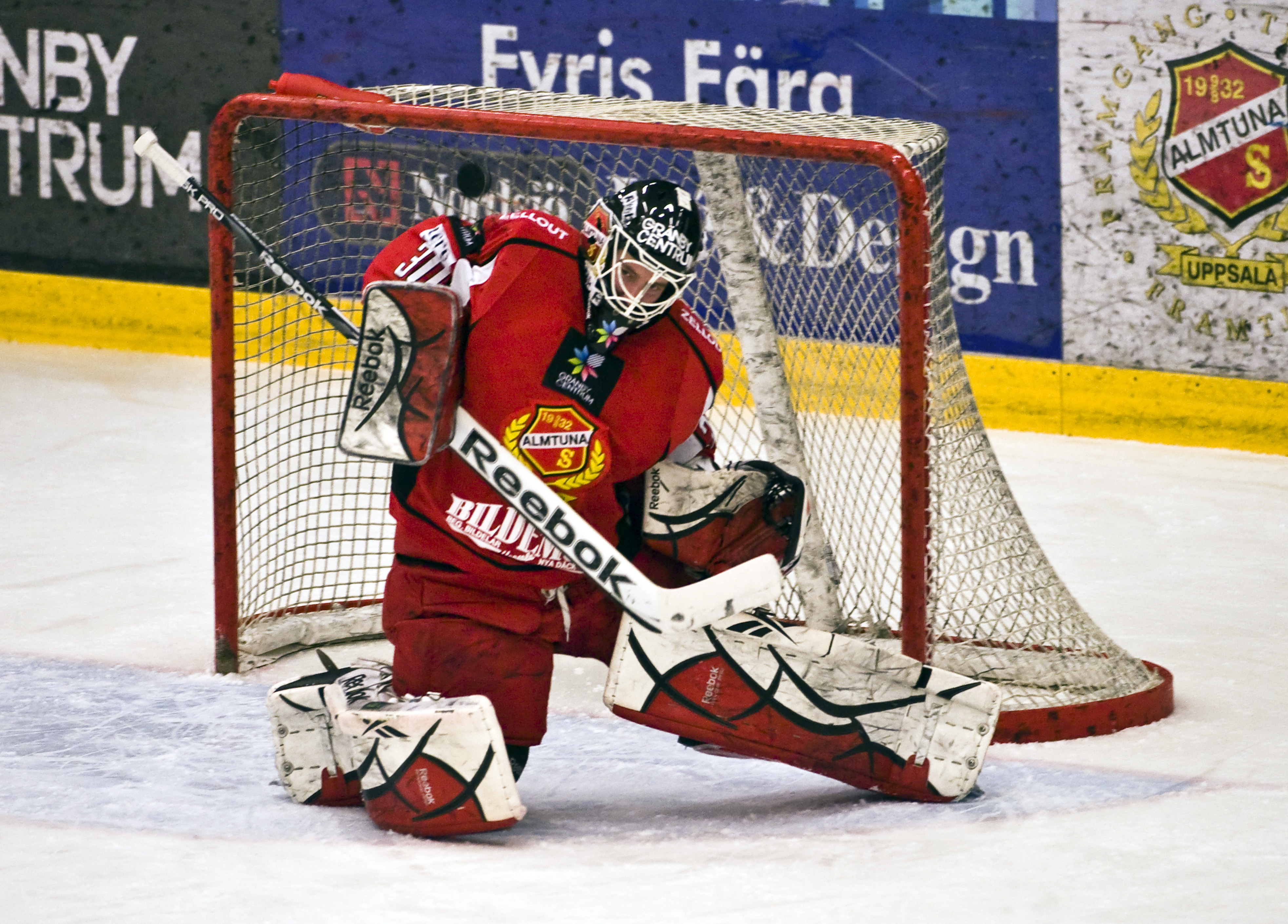 elitserien, ishockey, Målvakt, Adam Reideborn, HockeyAllsvenskan, AIK, Djurgarden