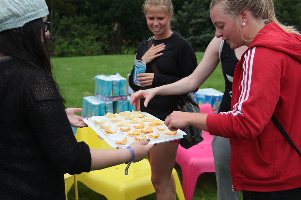 Festivalmys, Festival24