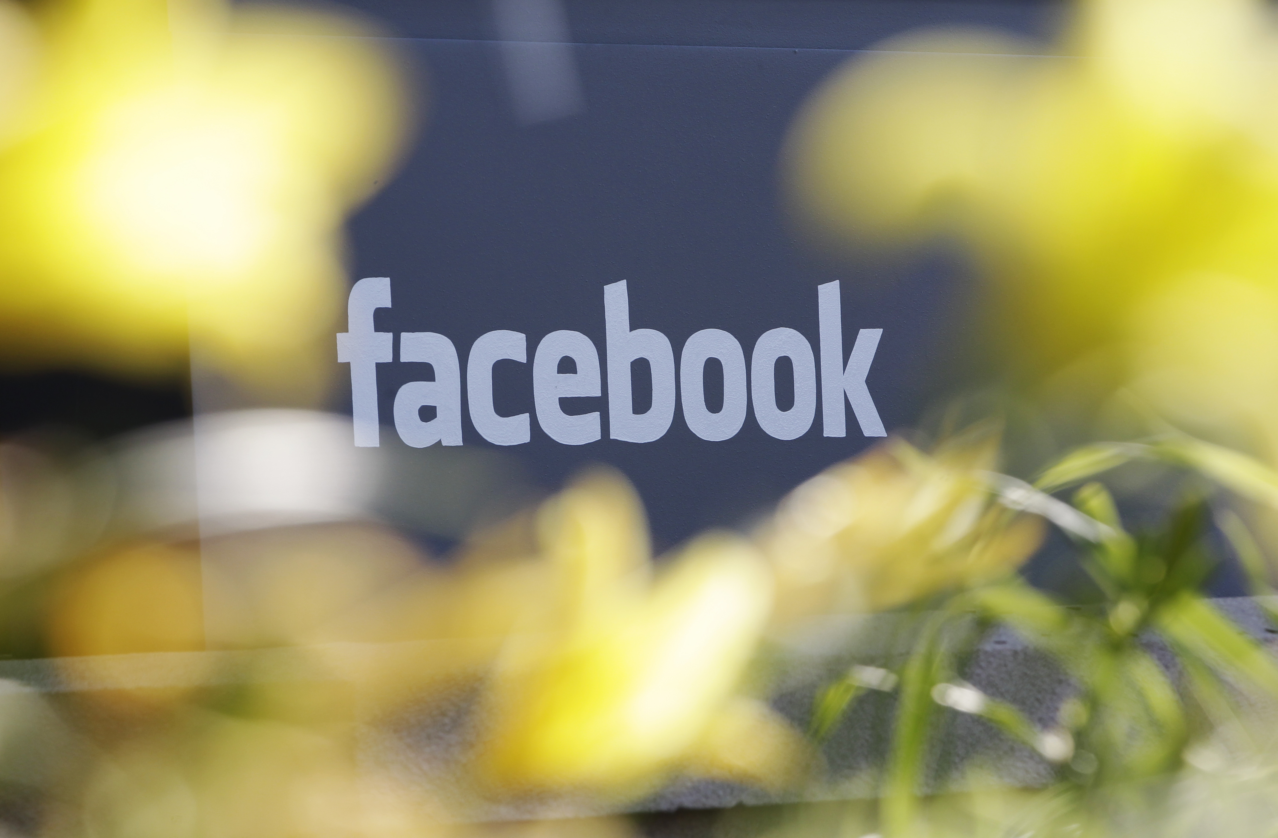 Facebook, Sociala Medier, Internet, USA