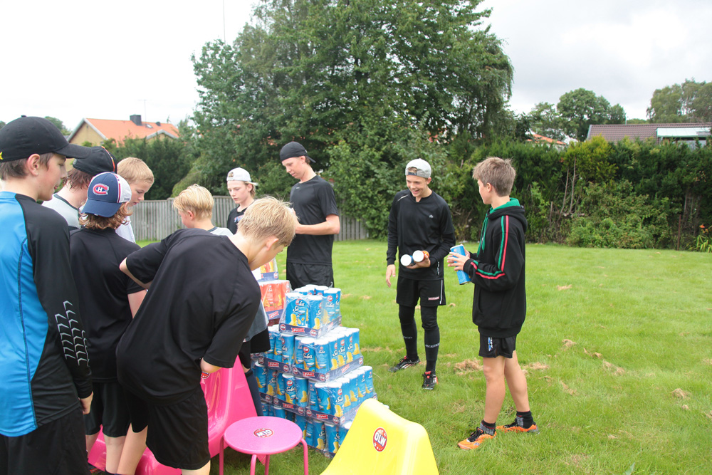 Festivalmys, Festival24