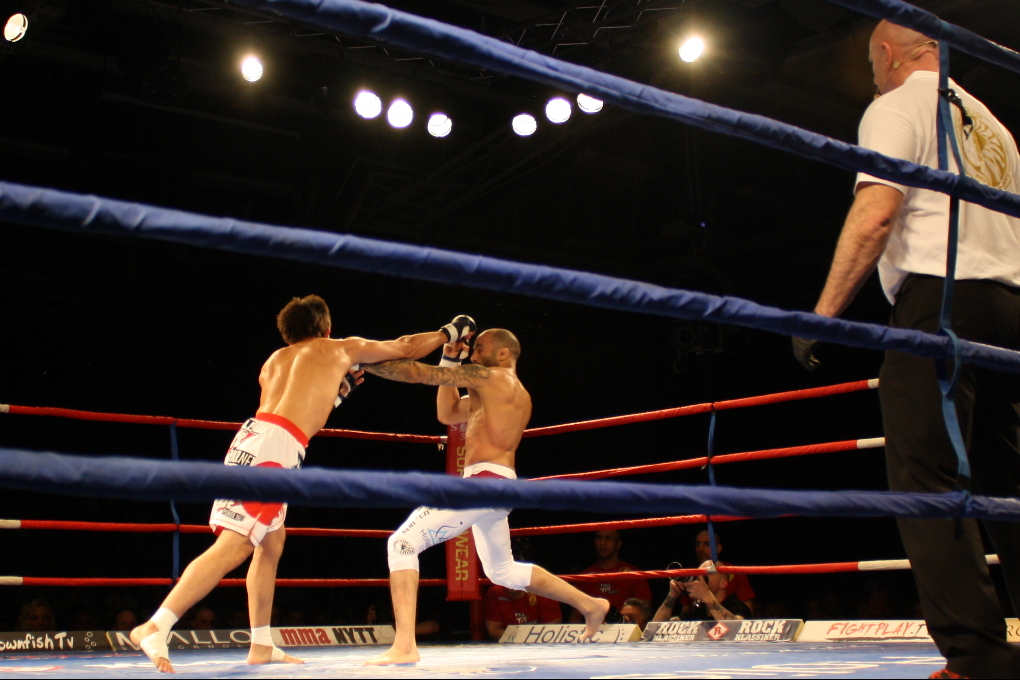 Pride and Fury, Fryshuset, Hanna Sillen, Superior Challenge, Junie Browning, Reza Madadi