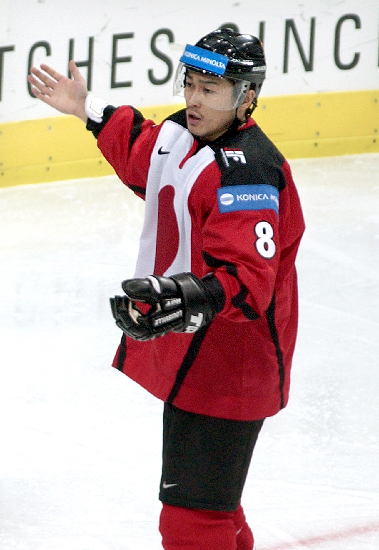 Självmål,  Klantigt, Niclas Wallin,  Mats Trygg, Jaroslav Halak,  Nobuhiro Sugawara