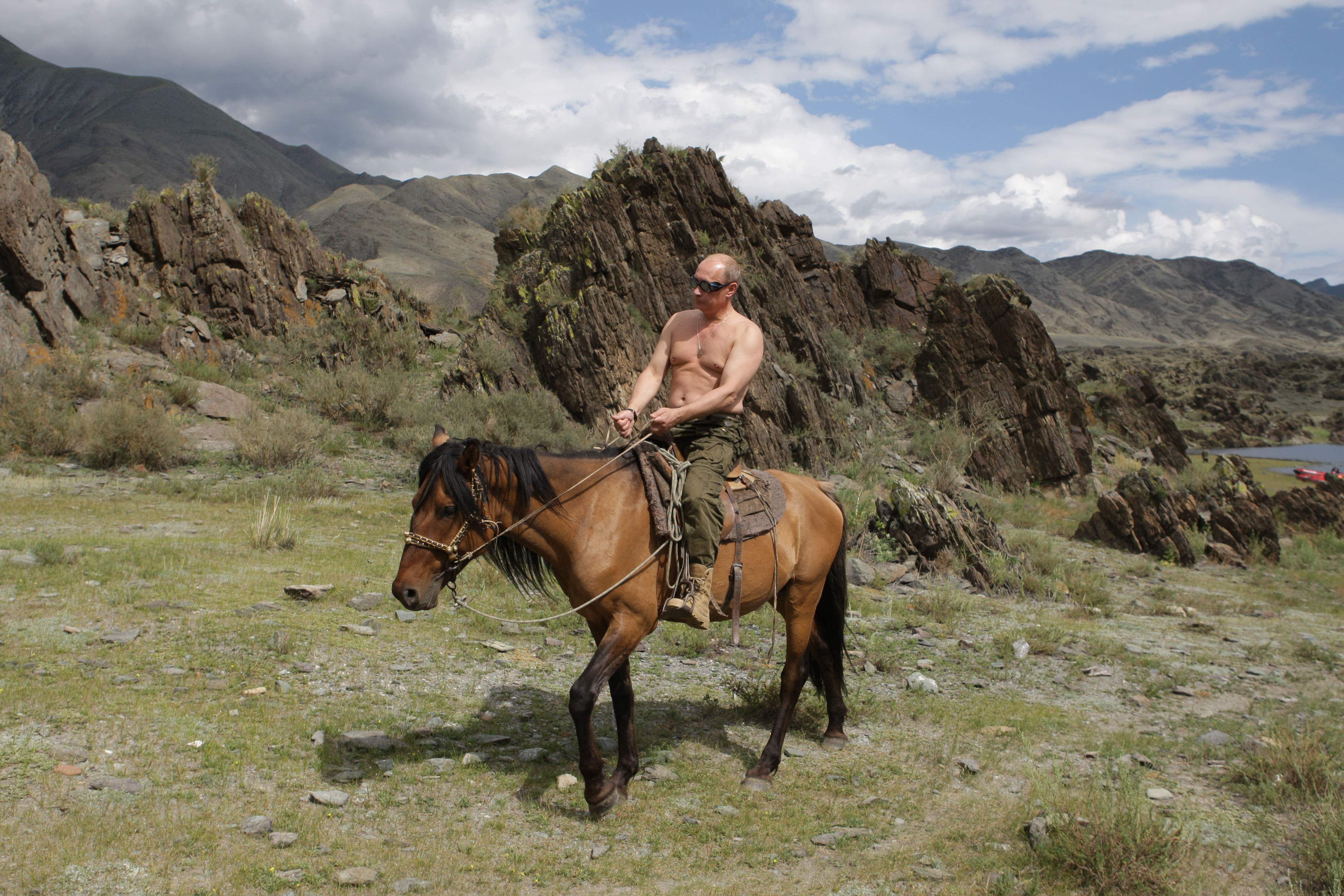 Djur, Vladimir Putin, Ryssland, bildextra