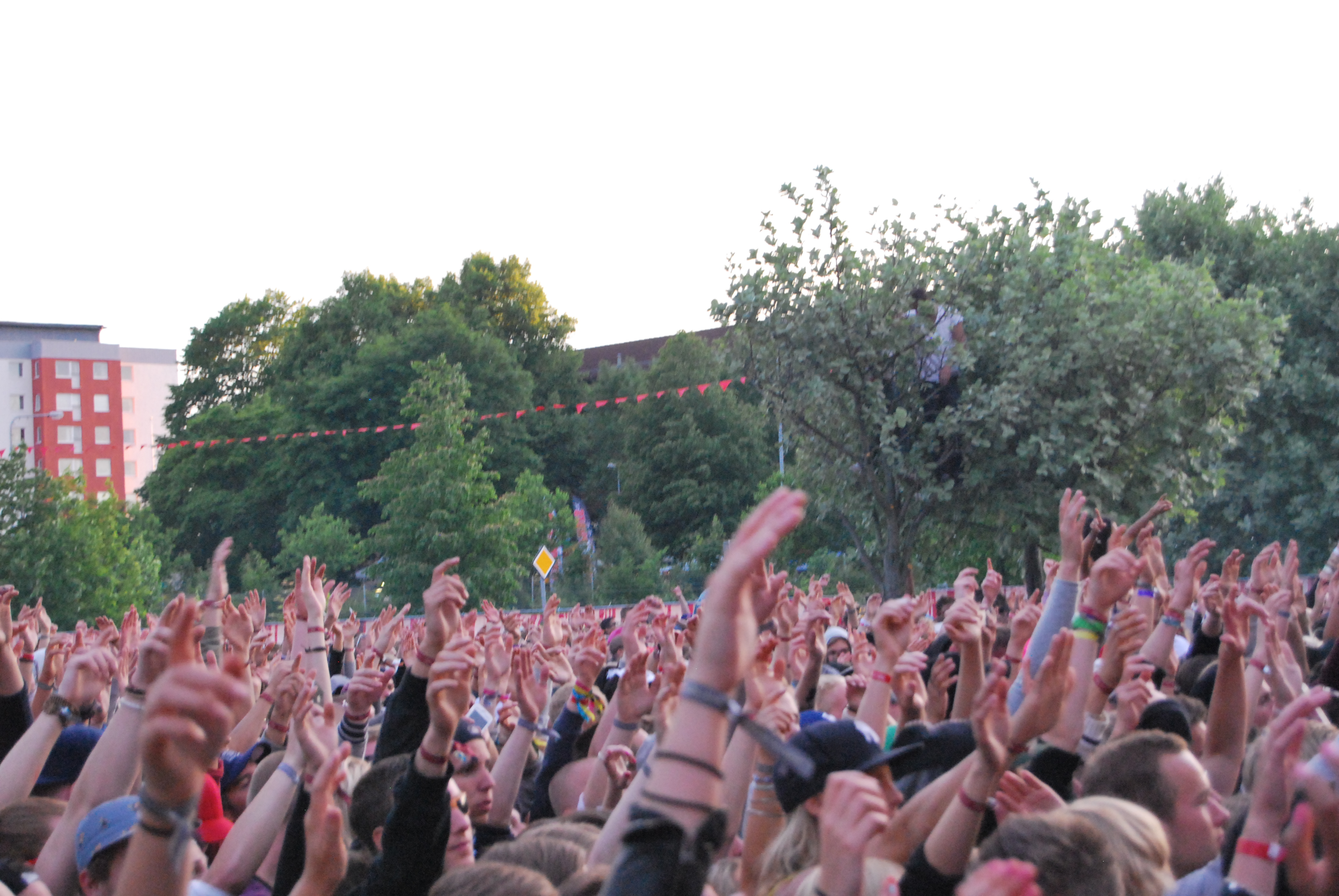 Festival24, Peace & Love, Nyheter