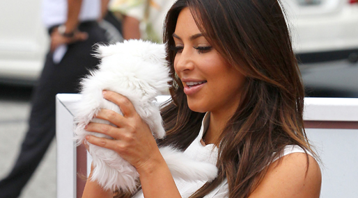 Kanye West,  Choupette,  Mercy, Kim Kardashian