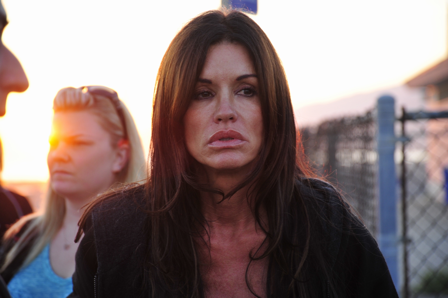 Lady Gaga, Kokain, janice dickinson