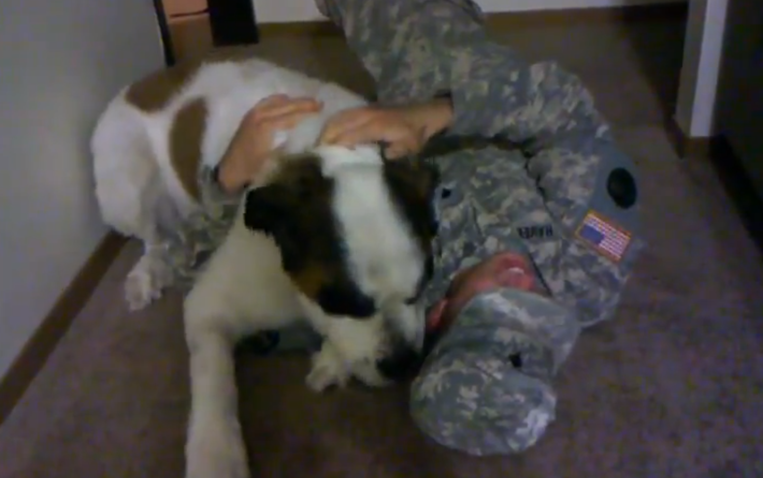 dejting hundar youtube