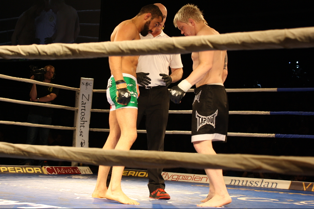 Fryshuset, Hanna Sillen, Pride and Fury, Reza Madadi, Junie Browning, Superior Challenge