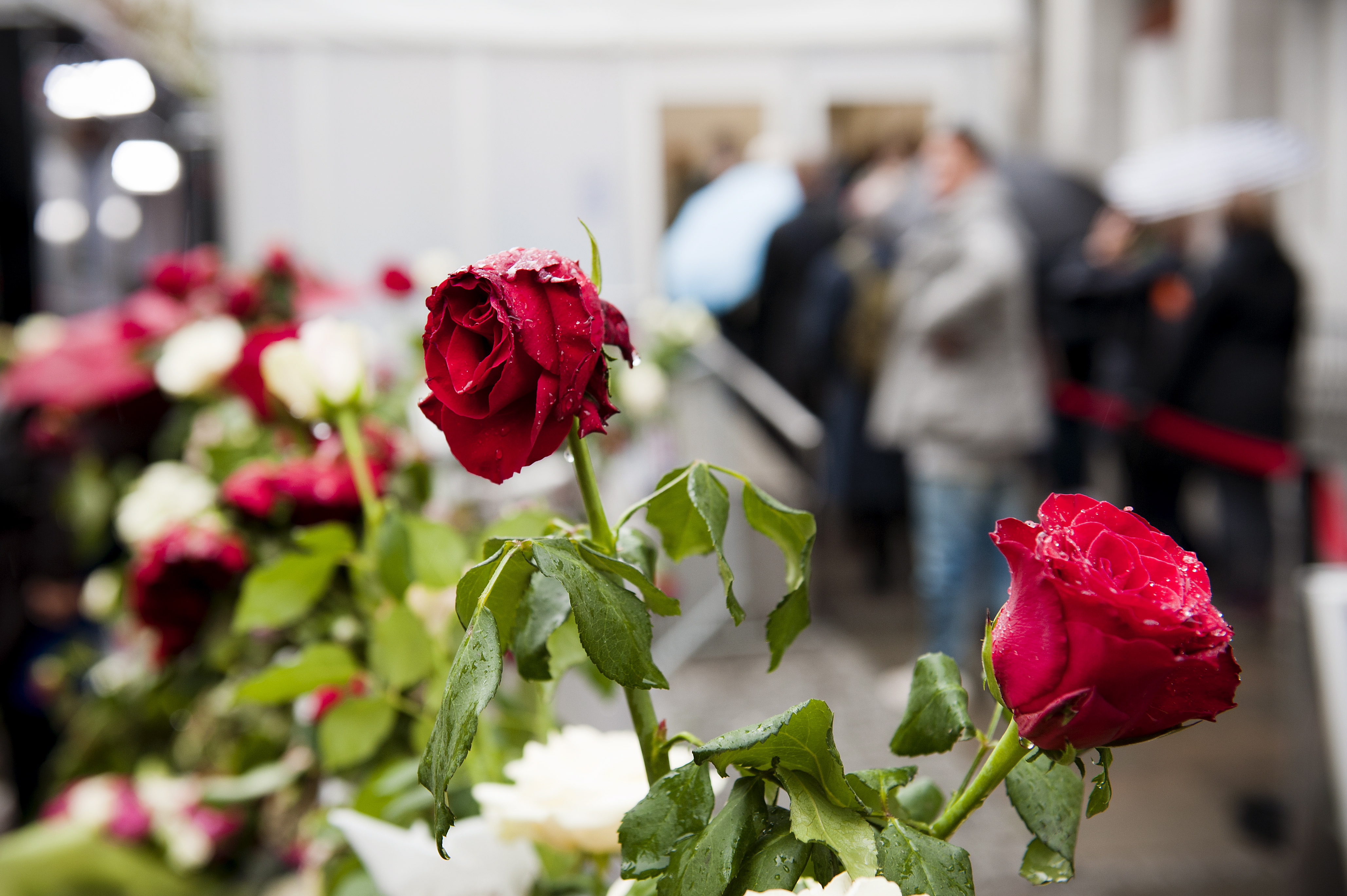 Utoya, Rättegång, Massmördare, AUF, Oslo, Knights Templar, Döda, Terroristen, Massmördaren, Anders Behring Breivik, Offer