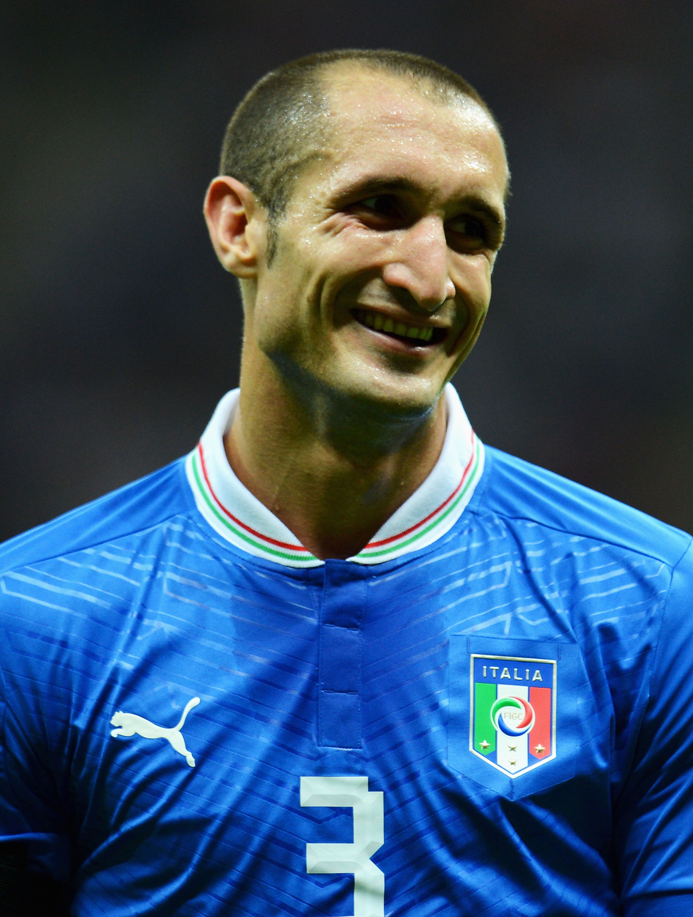 EM i korthet, Italien, Spanien, EM, Fotboll, EM-final, Giorgio Chiellini