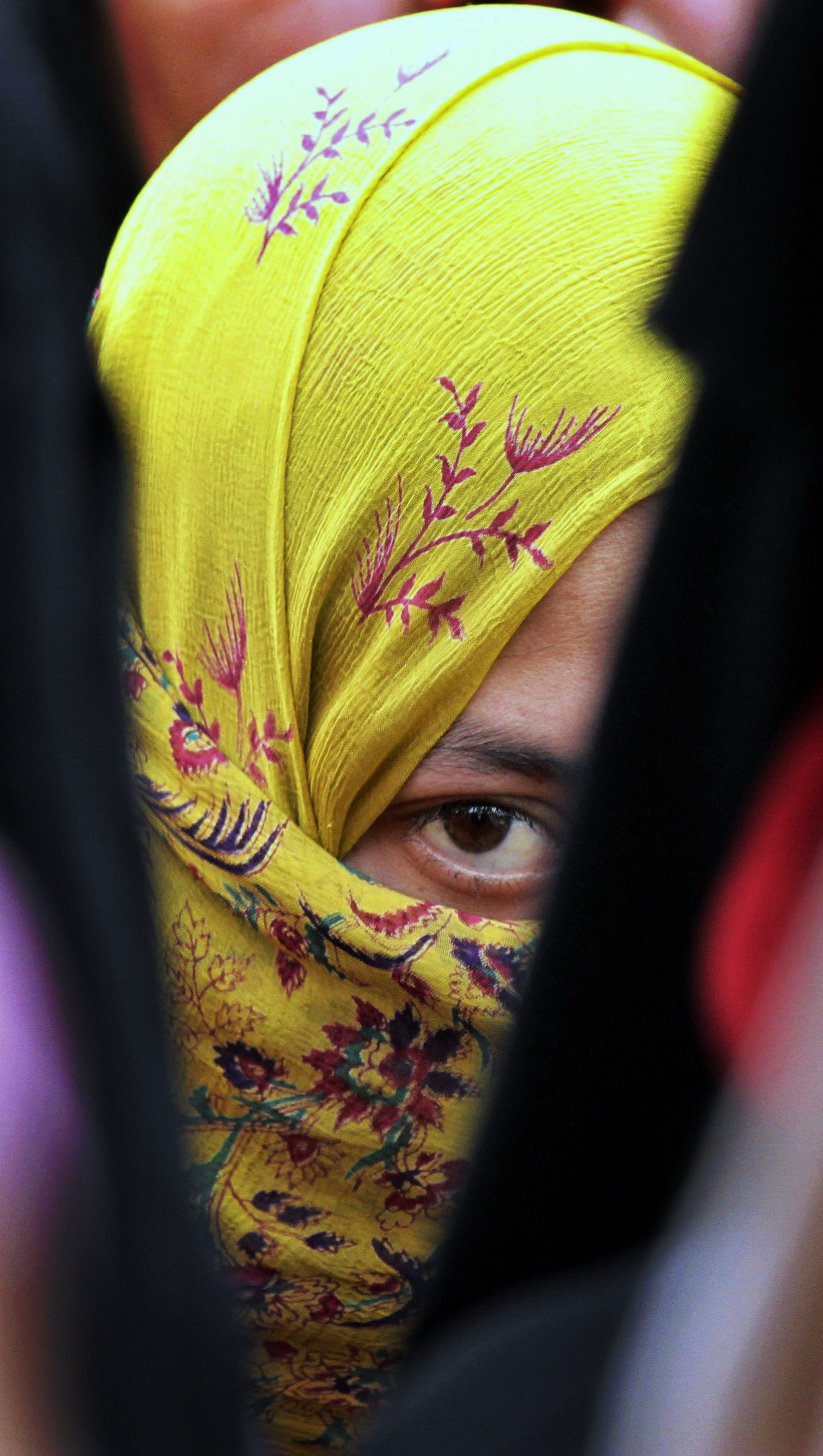 Burkaförbud, Corinne de Permentier, Islamofobi, Burka, Bryssel, Frankrike, Muslimer, Felice Dassetto, Nicolas Sarkozy, Islam, Niqab, Belgien
