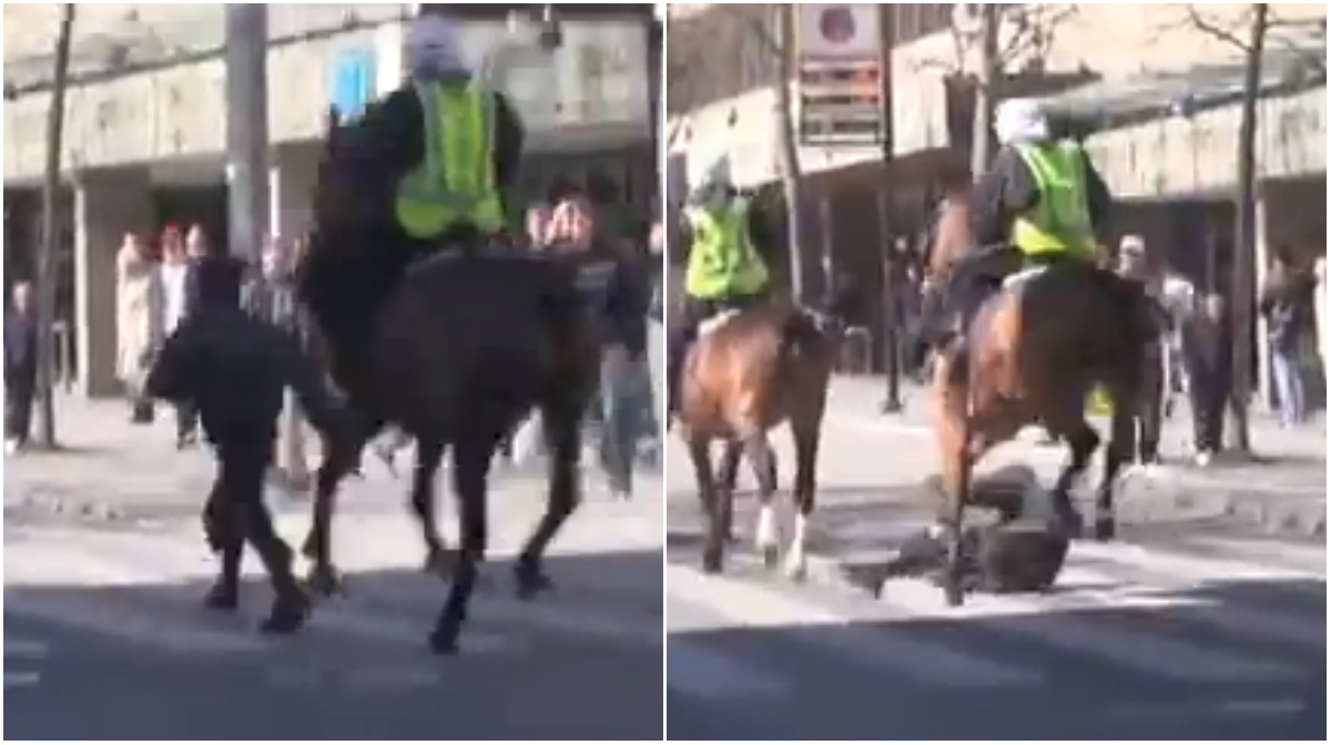 Demonstrationer, Polis, Svenskarnas parti, Polishäst, 1 maj