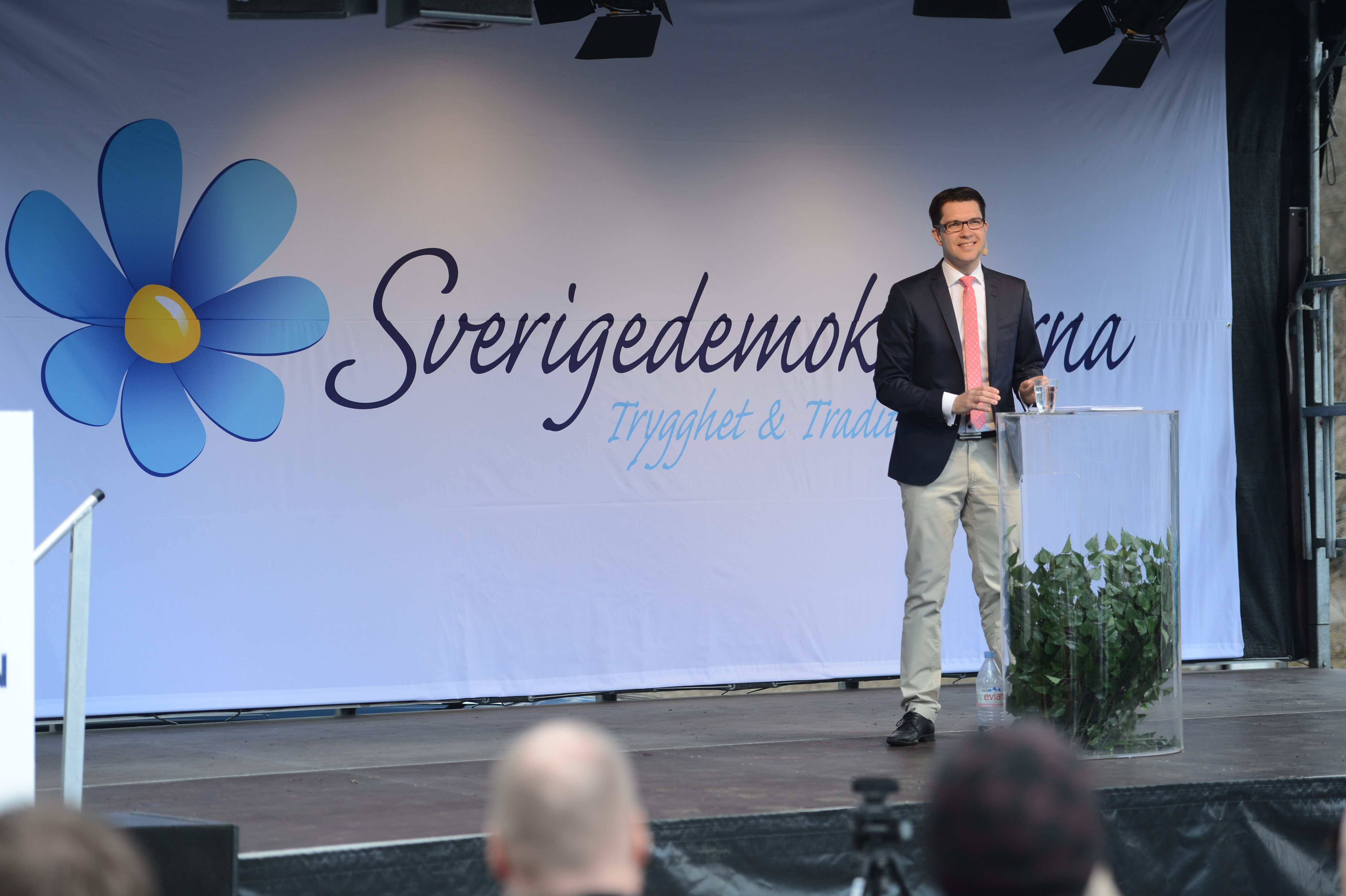 Thoralf Alfsson, Blogginlägg, Borlänge, Misshandel, Burka, Kvinna, Sverigedemokraterna, Christer Wikström