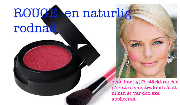 Caroline Chung, Chungs sminkskola, Rouge