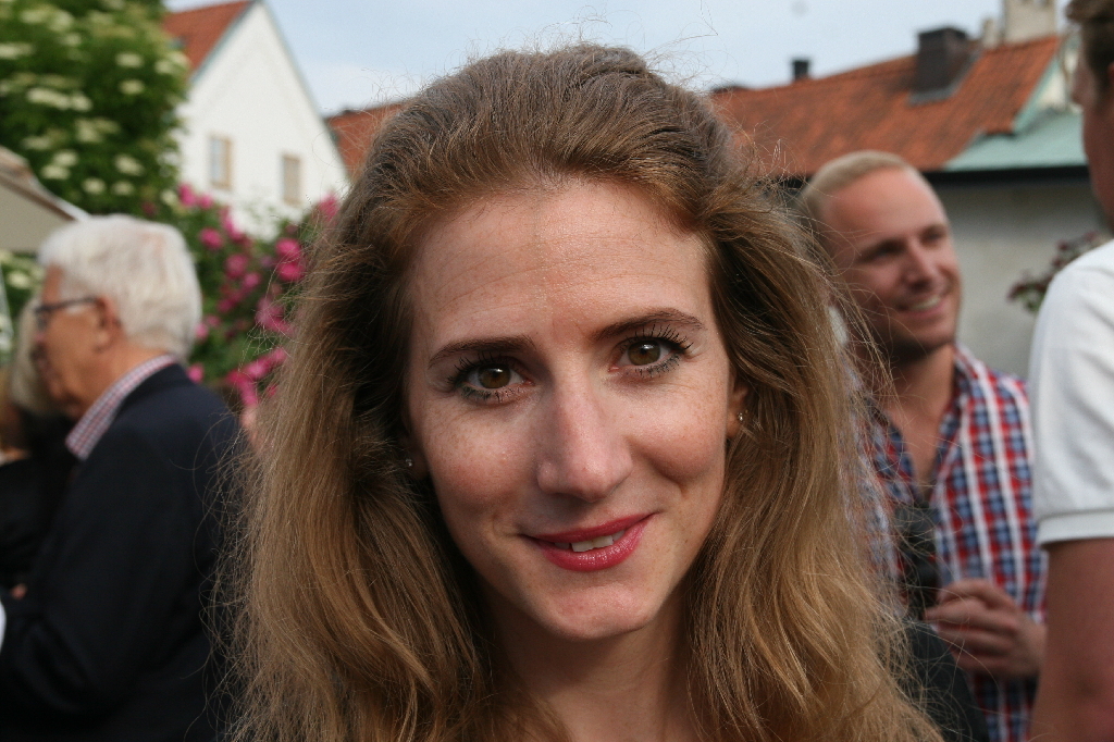 Almedalsveckan, Almedalen