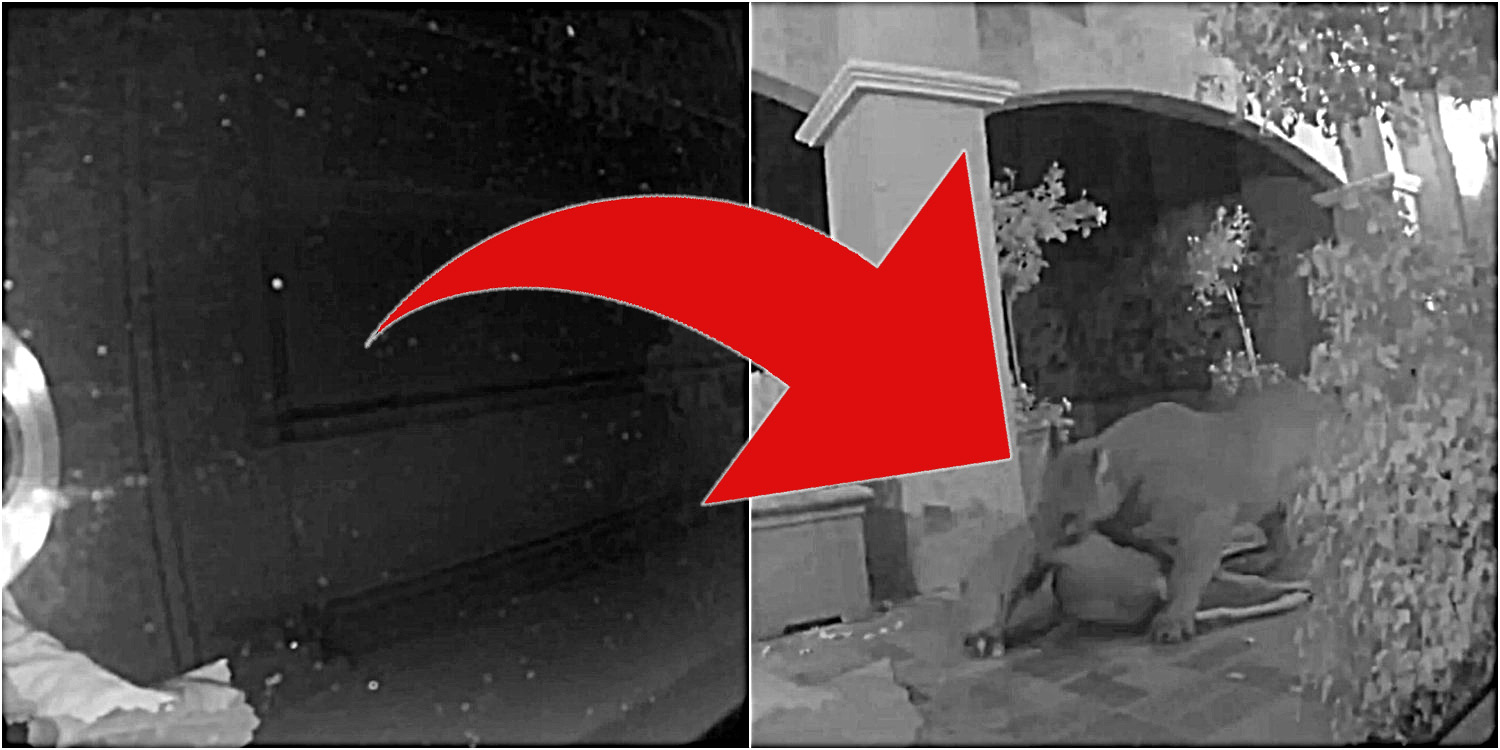 hur man dejtar på internet