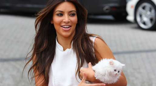  Mercy, Kim Kardashian,  Choupette, Kanye West
