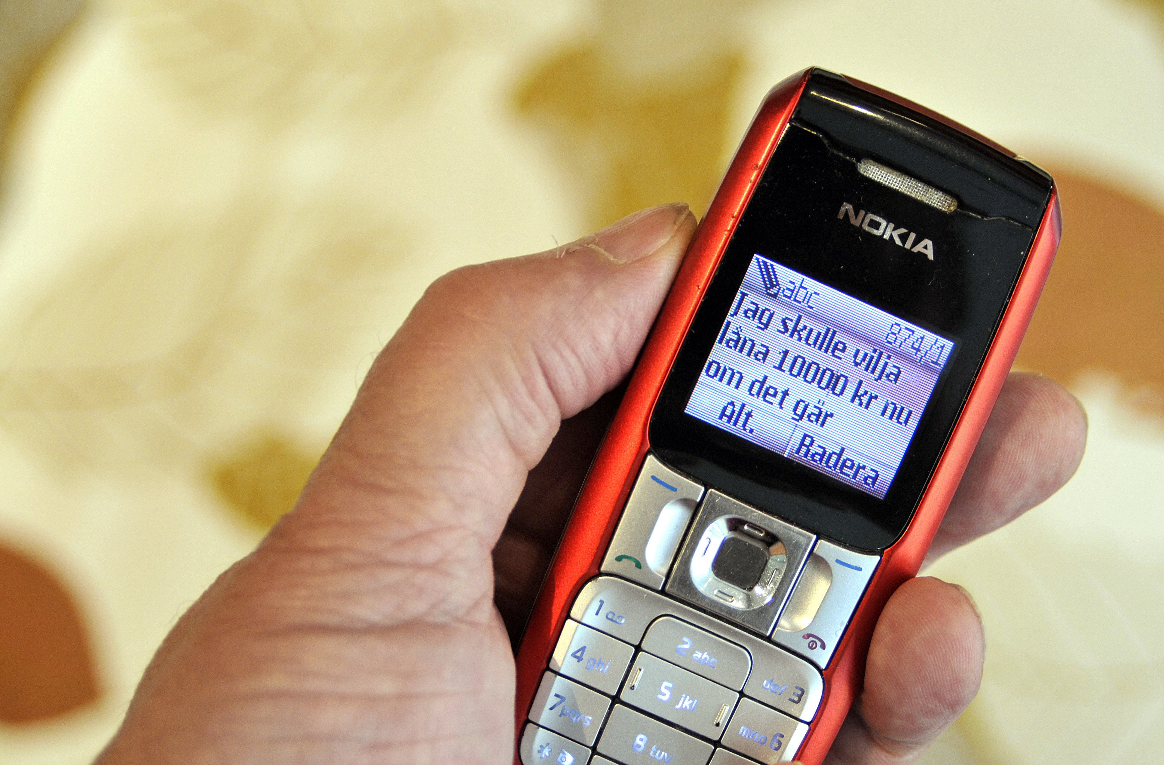 Polisen, Sajt, PUL, Datainspektionen, SMS, Bedrageri