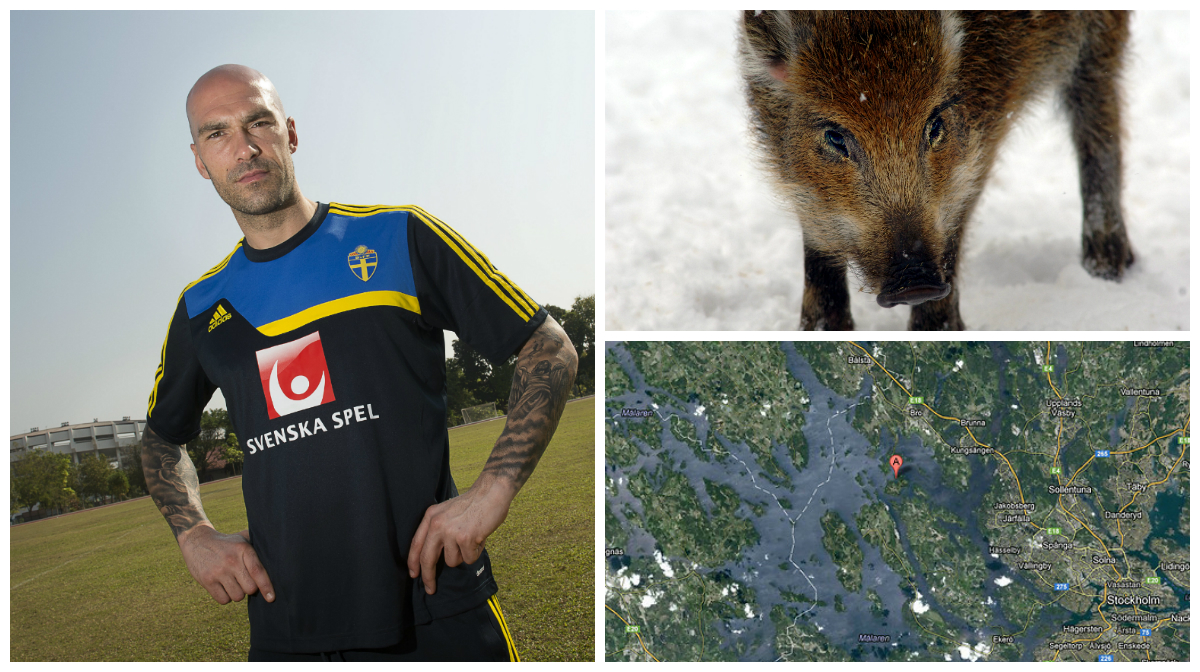 Jakt, Daniel Majstorovic, Dävensö, Zlatan Ibrahimovic