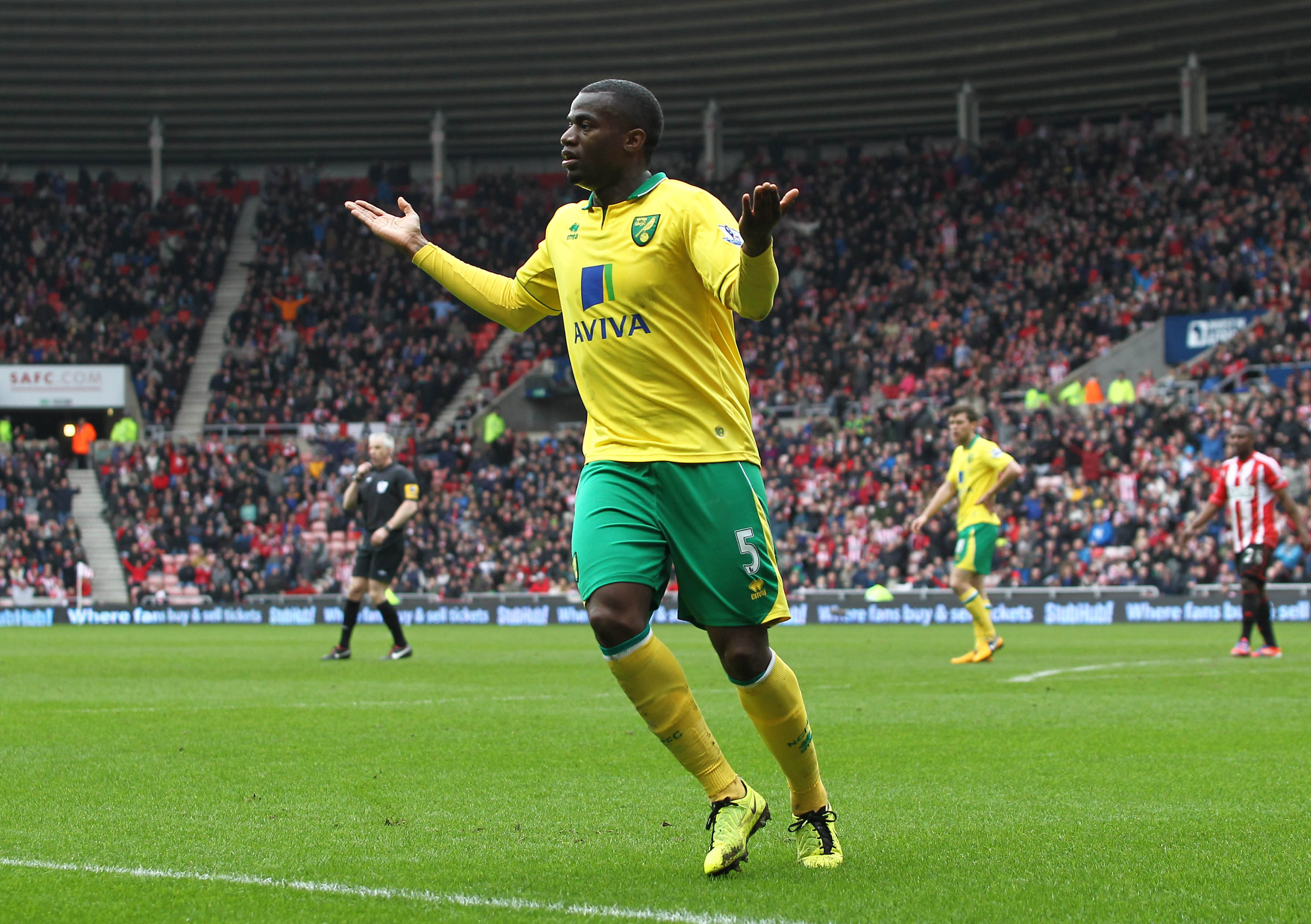 Premier League, Sebastian Bassong, Norwich, Vapen, Trädgården