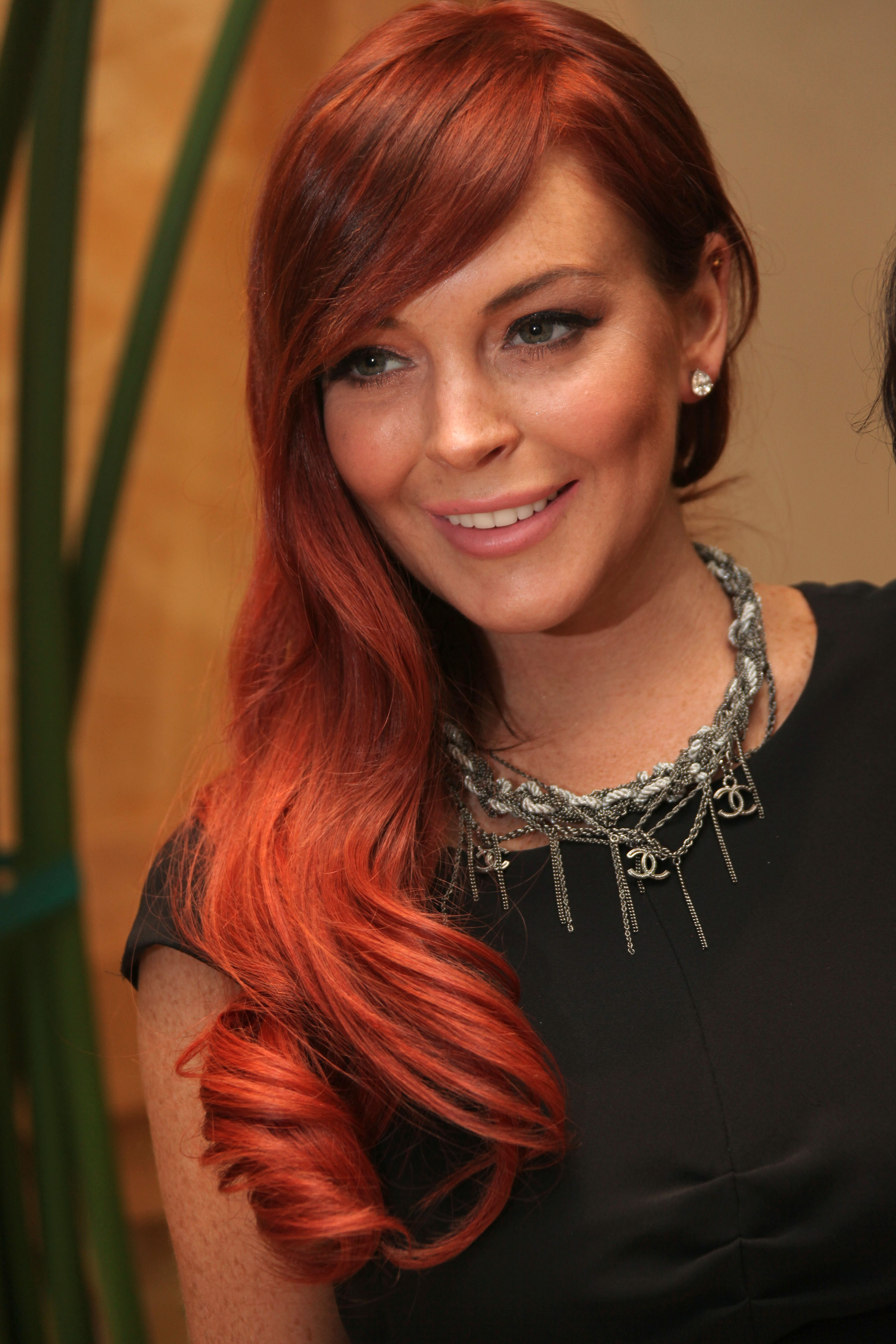 Michael Lohan, Lindsay Lohan, Dr. Drew